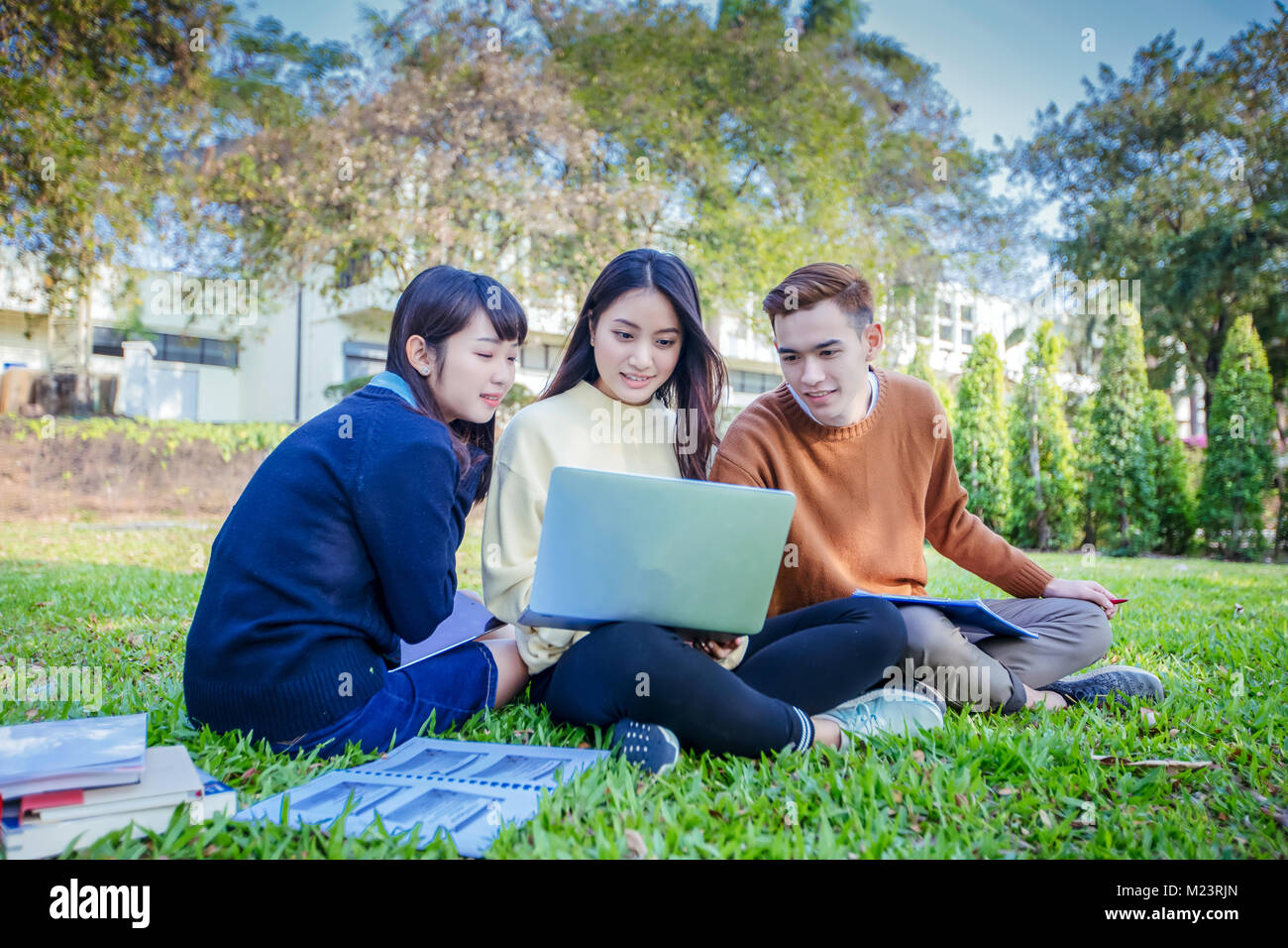 Group Of University Students asian sitting on the green grass Working ...