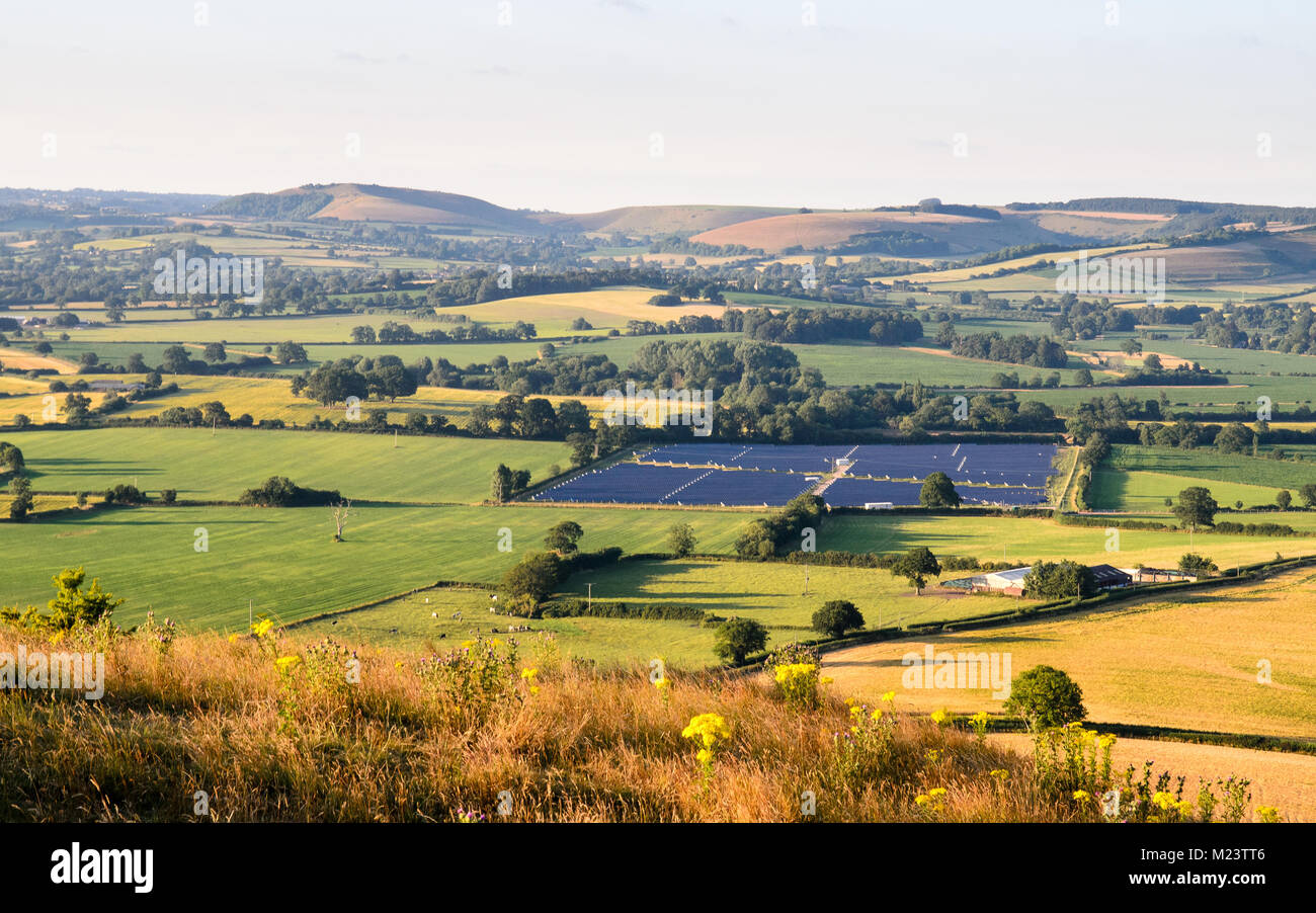 Rolling chalk hills rise over agricultural fields and pasture in North Dorset's Blackmore Vale, the area of the Stour Valley known to Thomas Hardy as  Stock Photo