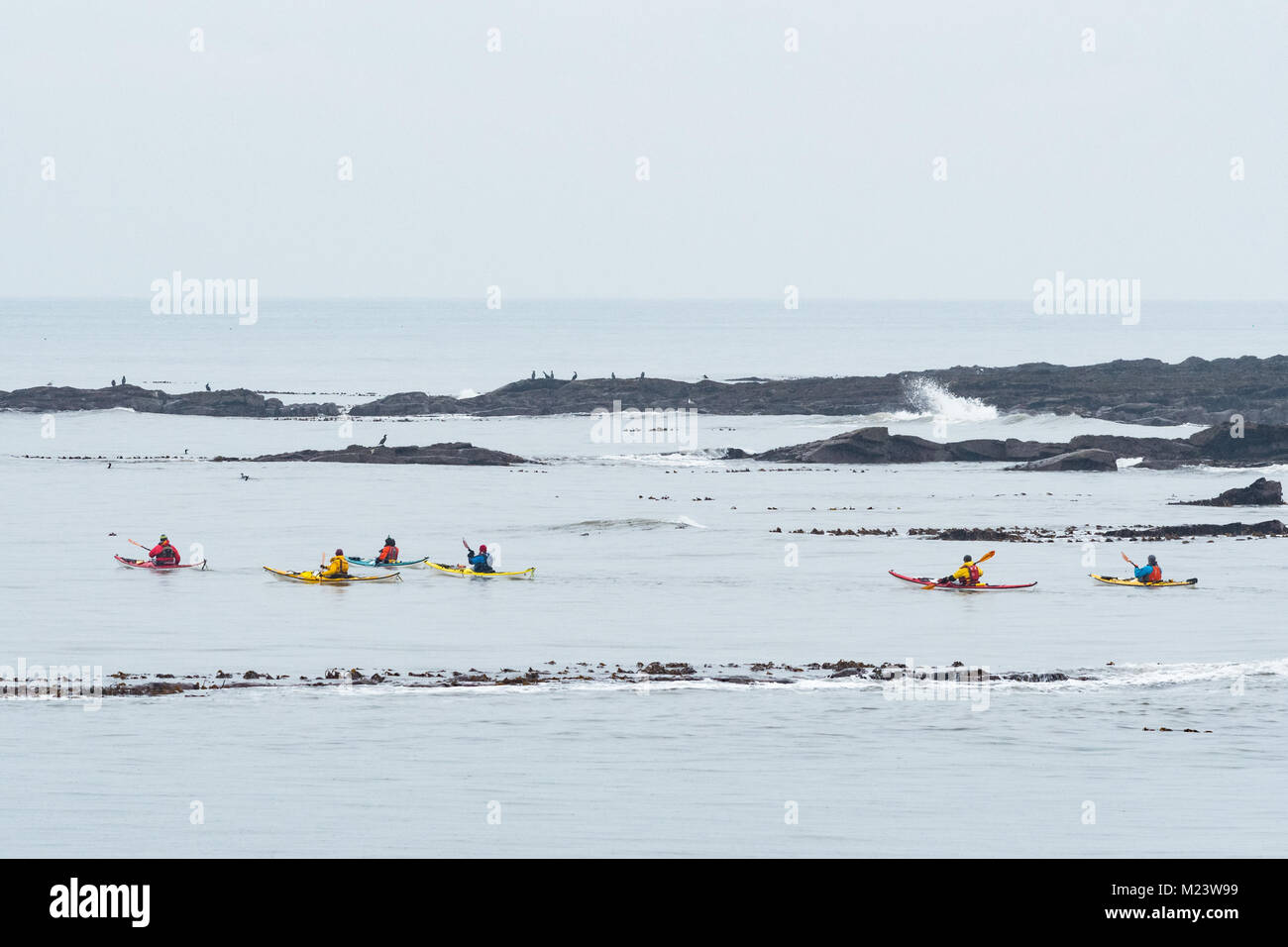 Sea kayaking in winter in Firth of Forth, Fife, Scotland, UK Stock Photo