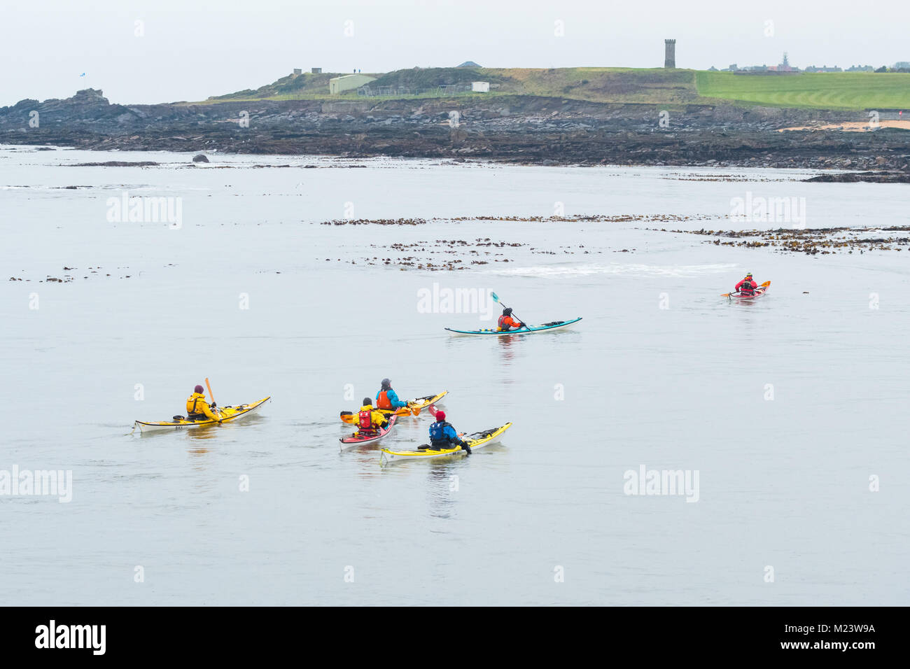 Sea kayaking in winter in Firth of Forth, Fife, Scotland, UK Stock Photo
