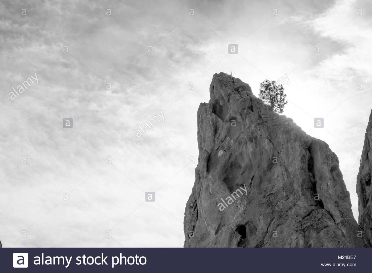 Tree Growing Rock Cliff Stock Photos & Tree Growing Rock Cliff Stock ...
