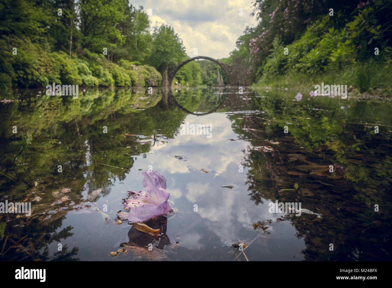 Rakotz Bridge Reflection Brandenburg Lake Tourism green Flower Pink Stock Photo