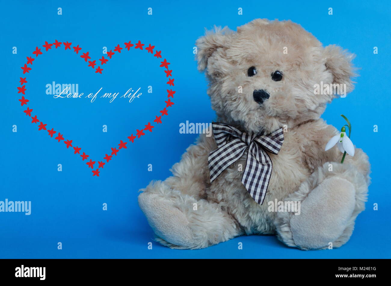 my cute teddy bear