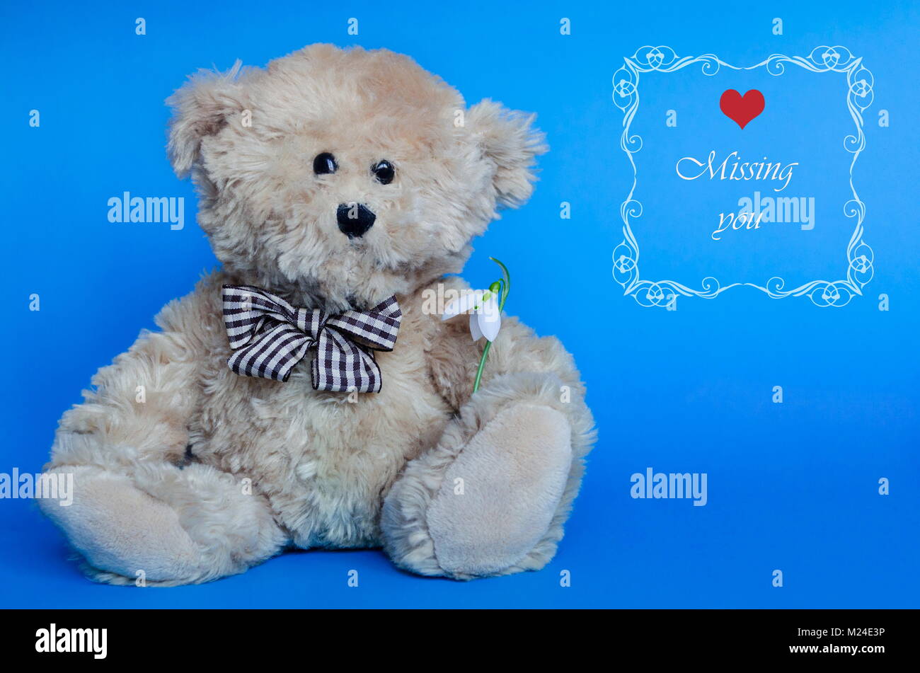 Cute Teddy Bear And Red Hearts For Valentine S Day With Text Missing You Stock Photo Alamy