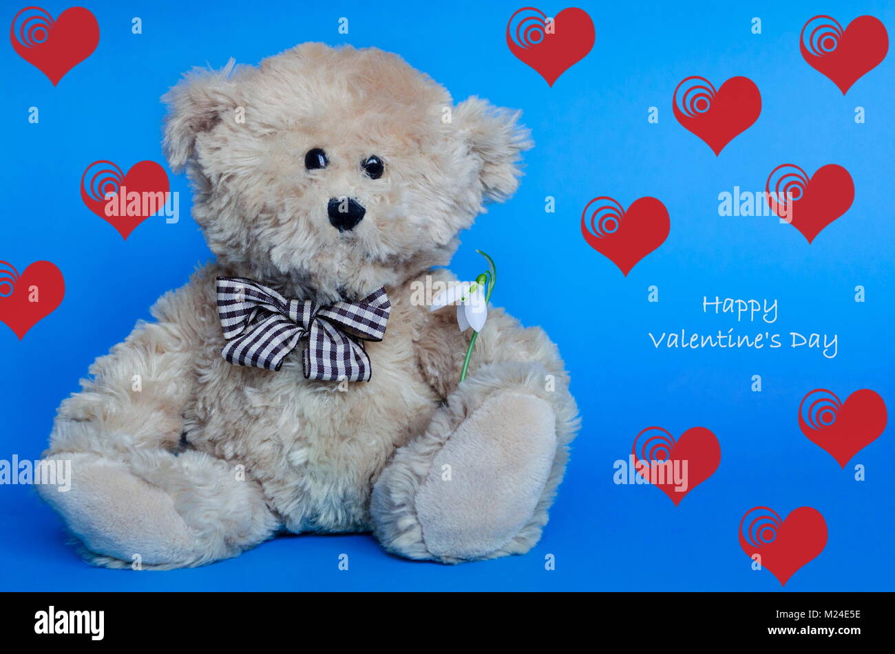 happy valentines day teddy