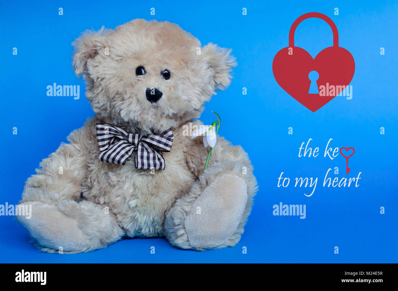 Teddy day 2024 ke photo