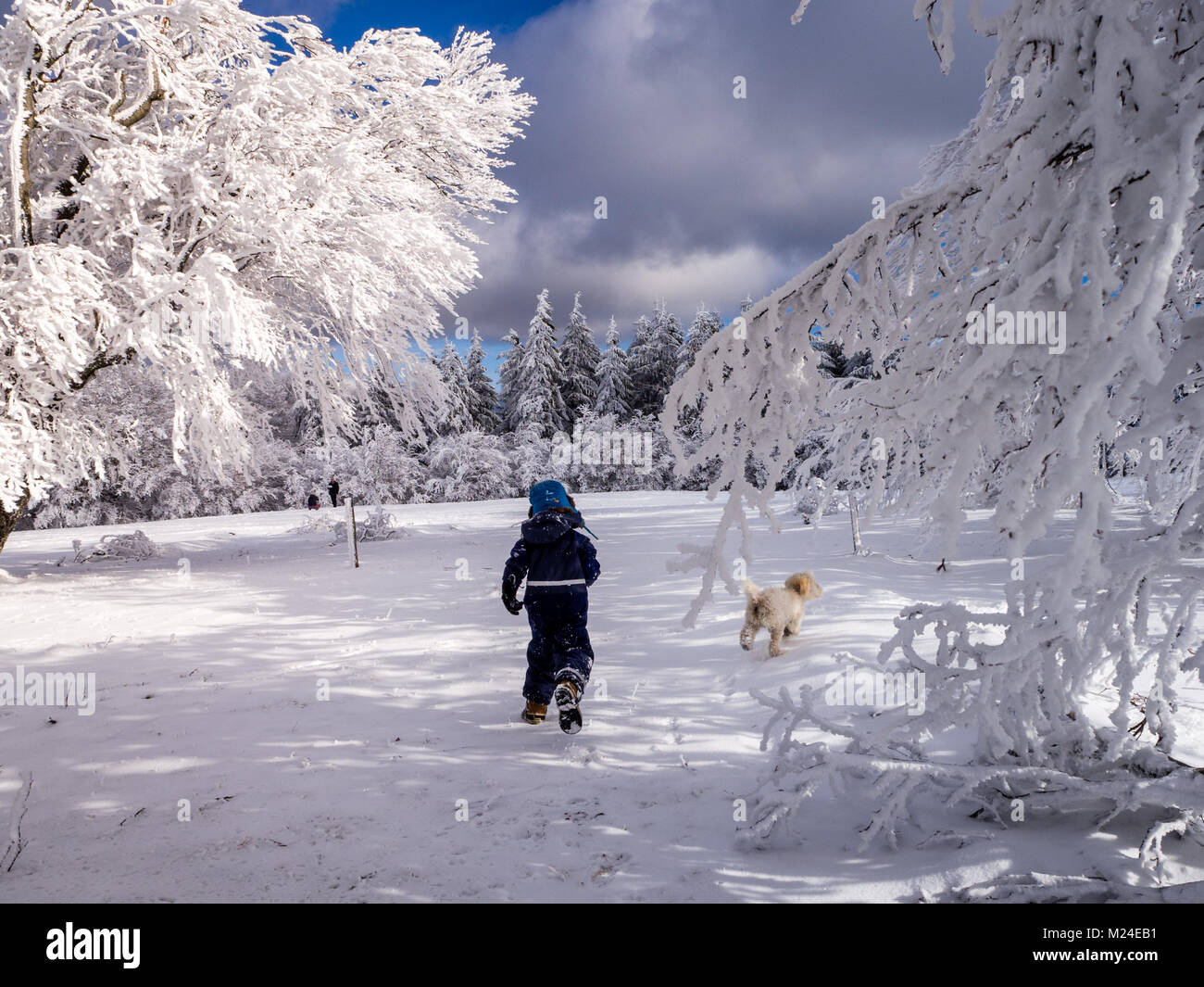 A boy and dog running through beautiful ice covered beech trees in the black forest. This is at a place called "Schauinsland"  (look into the valley) Stock Photo
