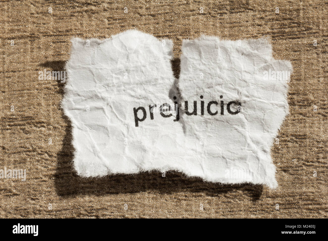 Word For Prejudice