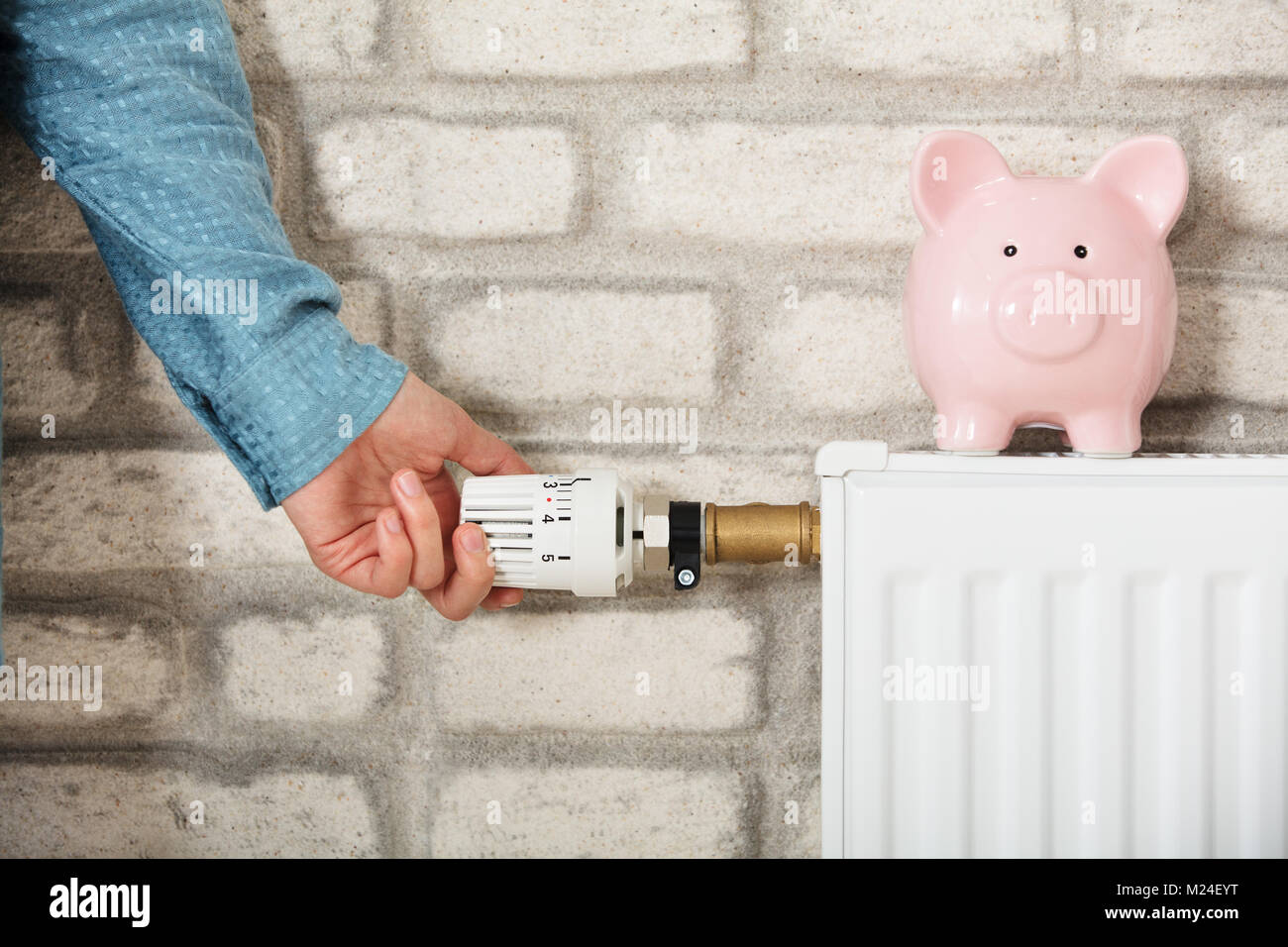Woman's Hand Adjusting Temperature Of Radiator With Piggy Bank Stock Photo
