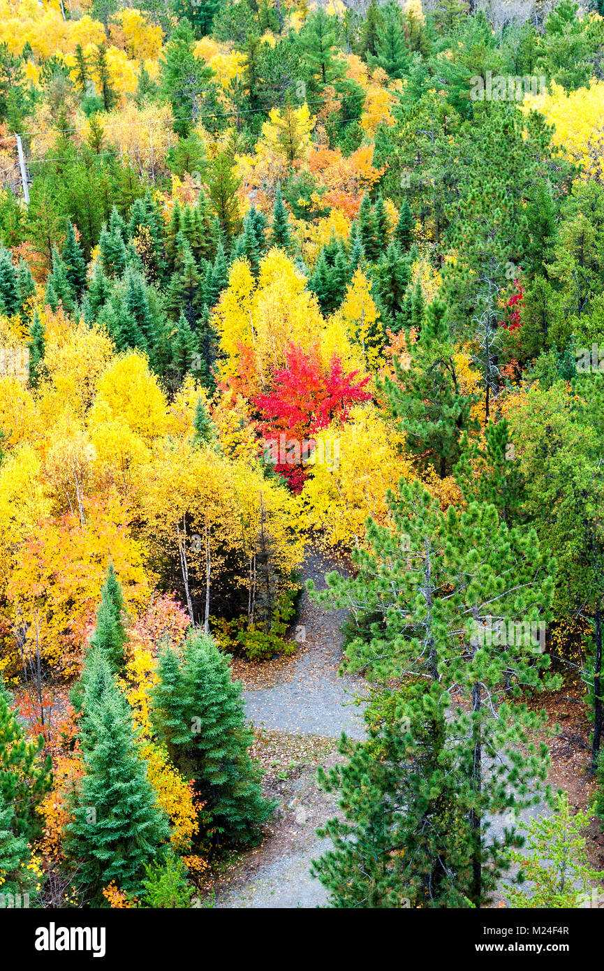Vivid fall colours in northern ontario Stock Photo