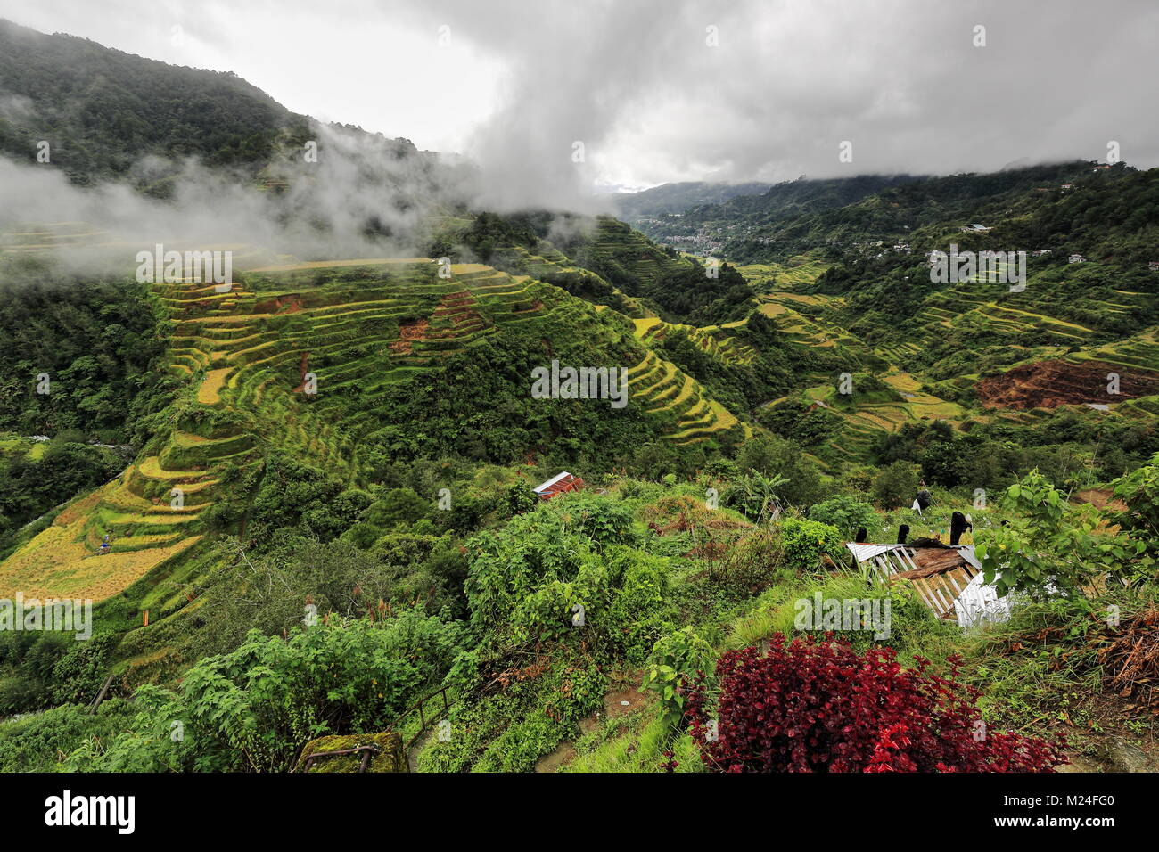 The Banaue village cluster-part of the Rice Terraces of the Philippine Cordilleras-masterpiece of the local Igorot people seen from the main viewpoint Stock Photo