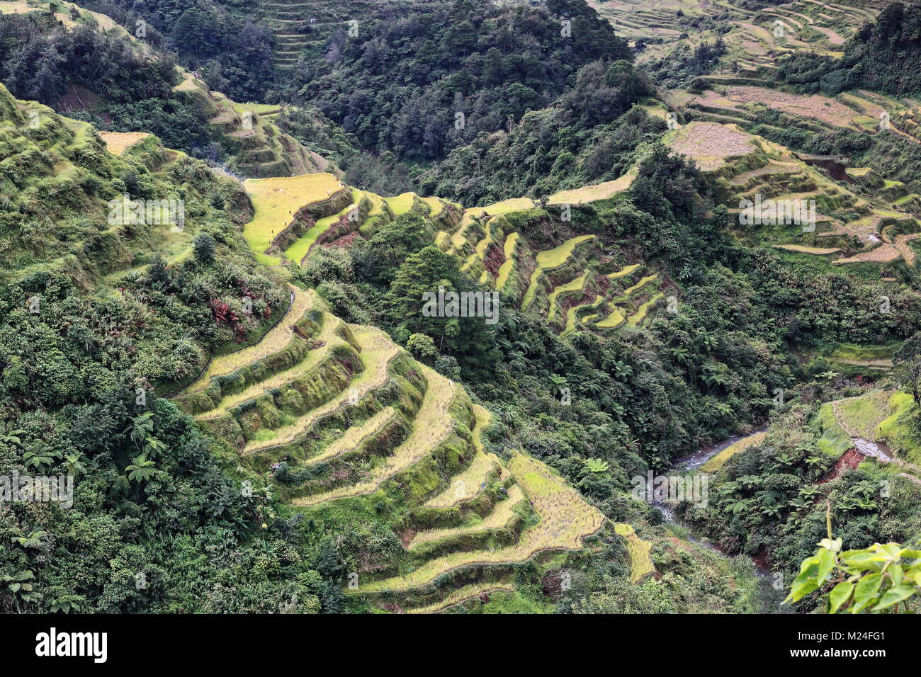 The Banaue village cluster-part of the Rice Terraces of the Philippine Cordilleras-masterpiece of the local Igorot people seen from the main viewpoint Stock Photo