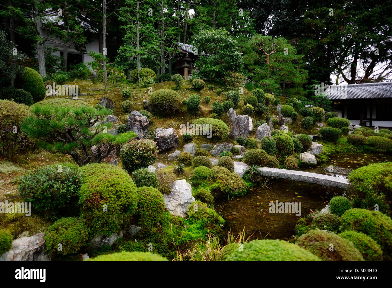 License available at MaximImages.com Traditional Japanese garden with a bridge over pond, pine trees and azaleas Tofuku-ji Buddhist temple Kyoto Japan Stock Photo