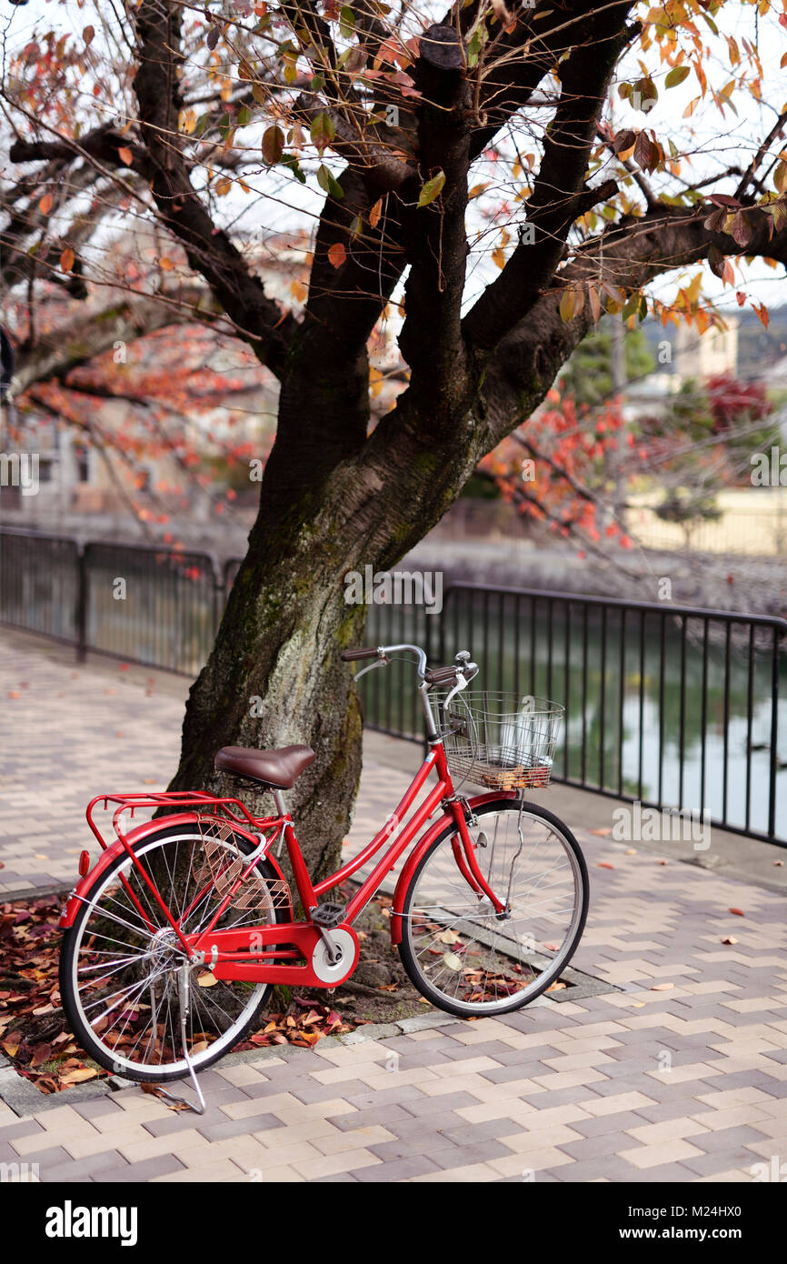 Red womens city bicycle parked at a cherry tree by a river in autumn on a street of Kyoto, Japan 2017. Stock Photo