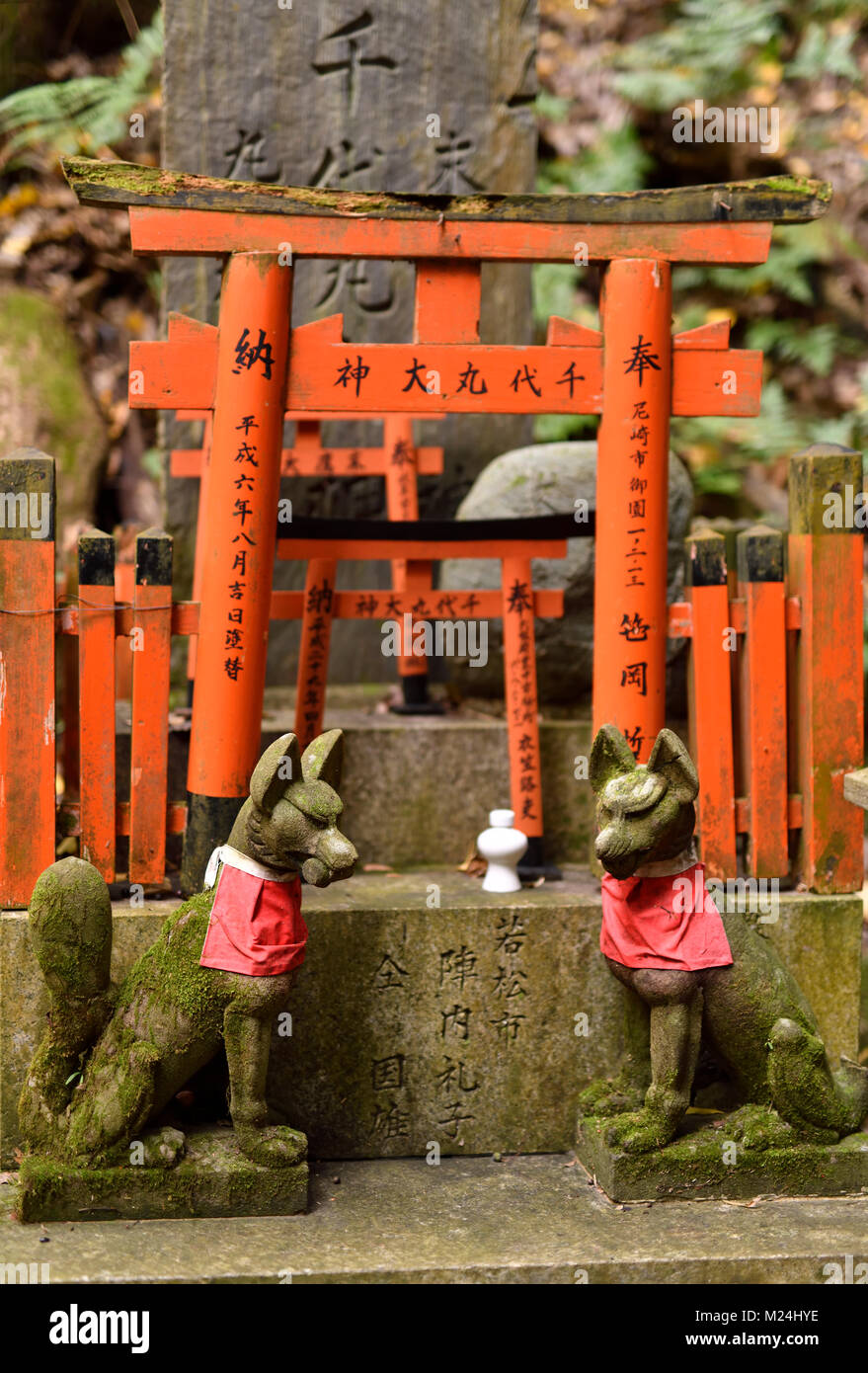 Foxes, Kitsune, at a small private worship Tsuka shrine altar, one of the thousands little Shinto shrines at Fushimi Inari Taisha head shrine in Fushi Stock Photo