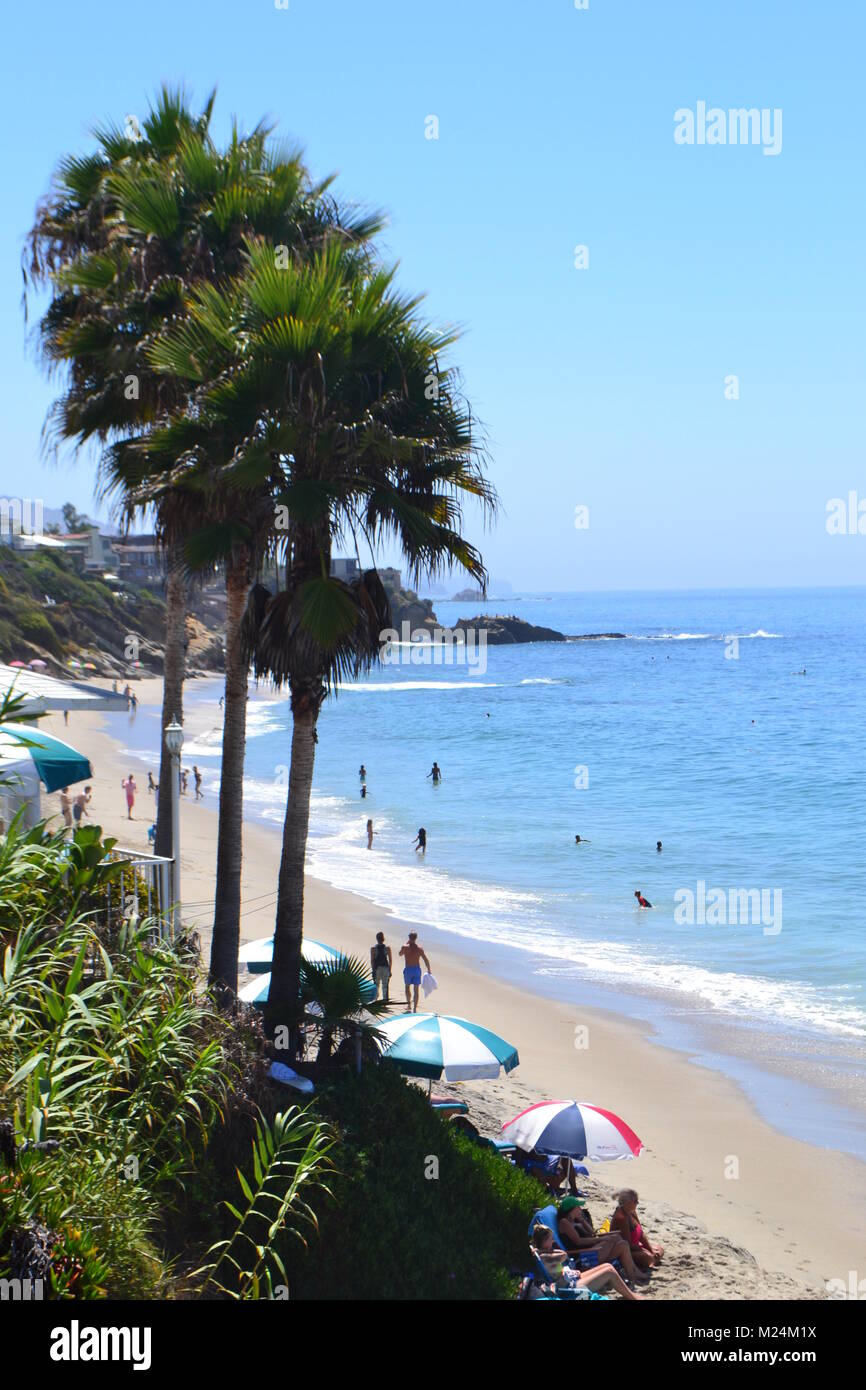 View of Laguna Beach ocean and palm trees Stock Photo Alamy