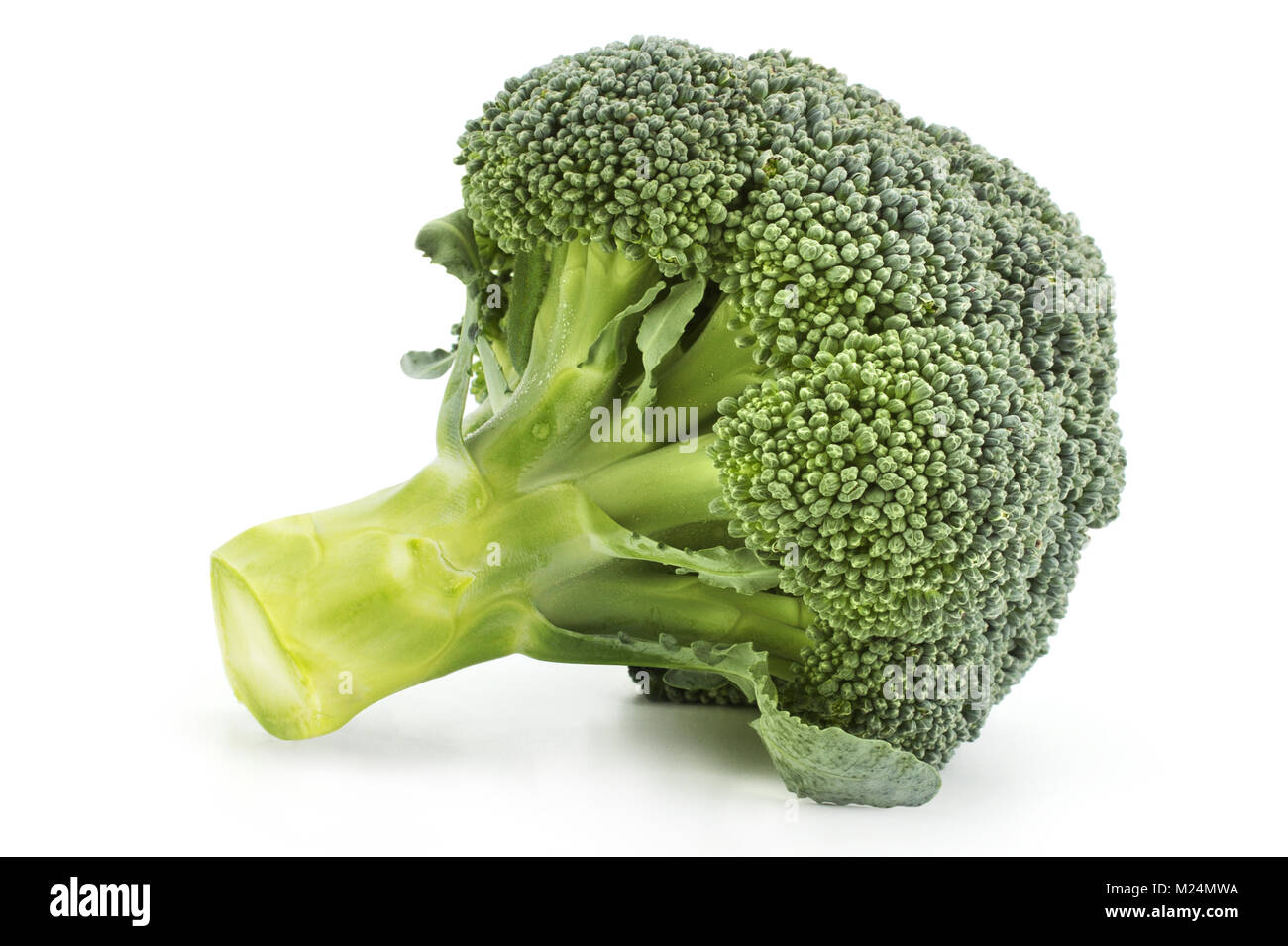 Isolated broccoli cabbage. Vegetarian food ingredient. Stock Photo