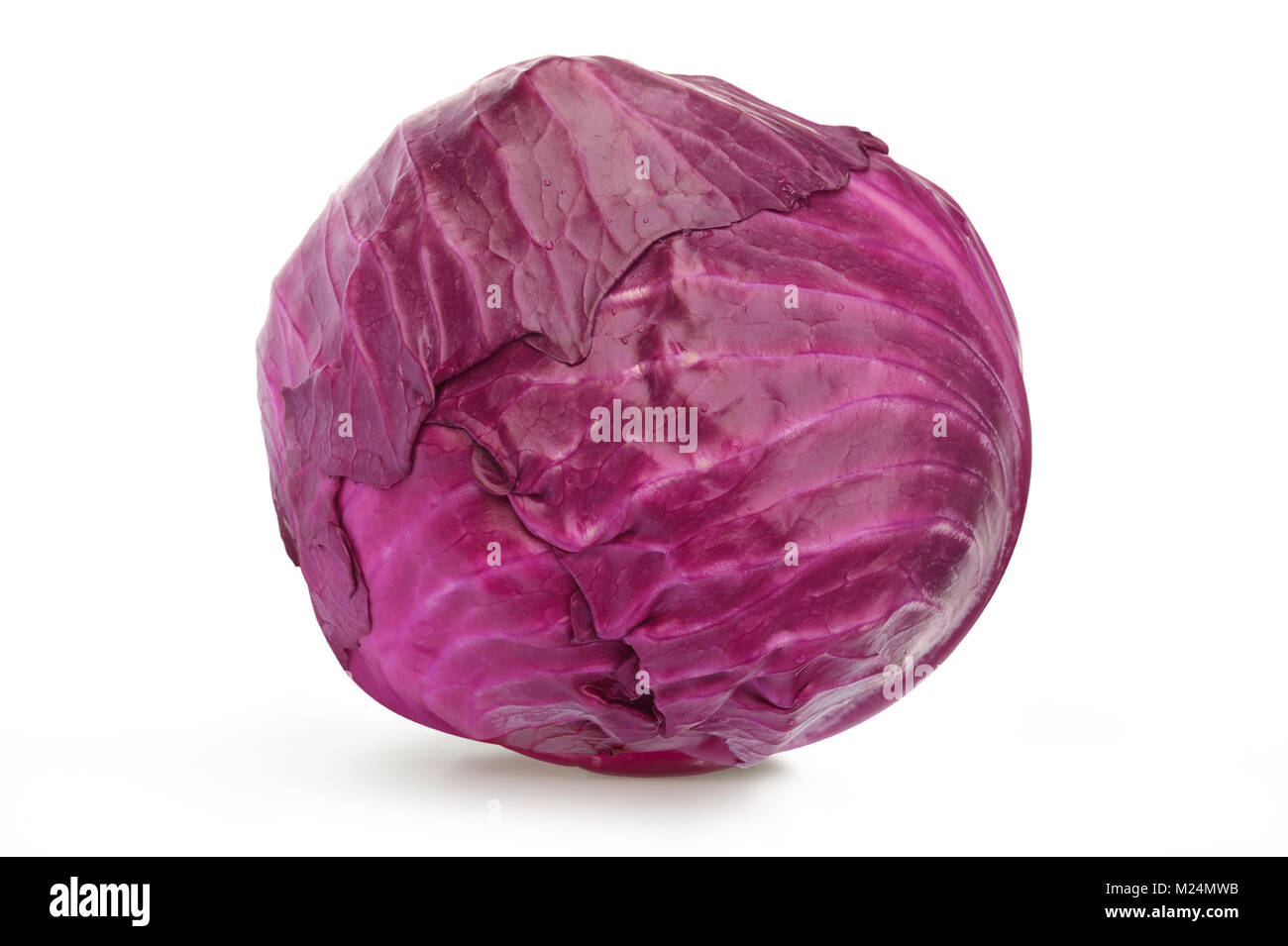 Single isolated red cabbage. Vegetable food ingredient. Stock Photo