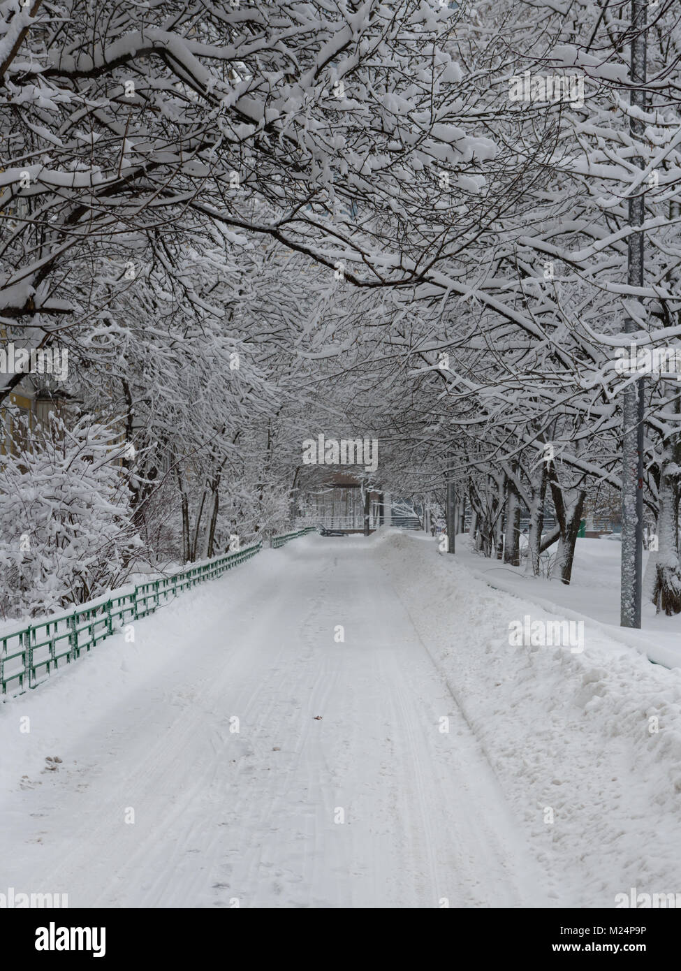 View of the street and snow-covered trees in the city after a heavy ...