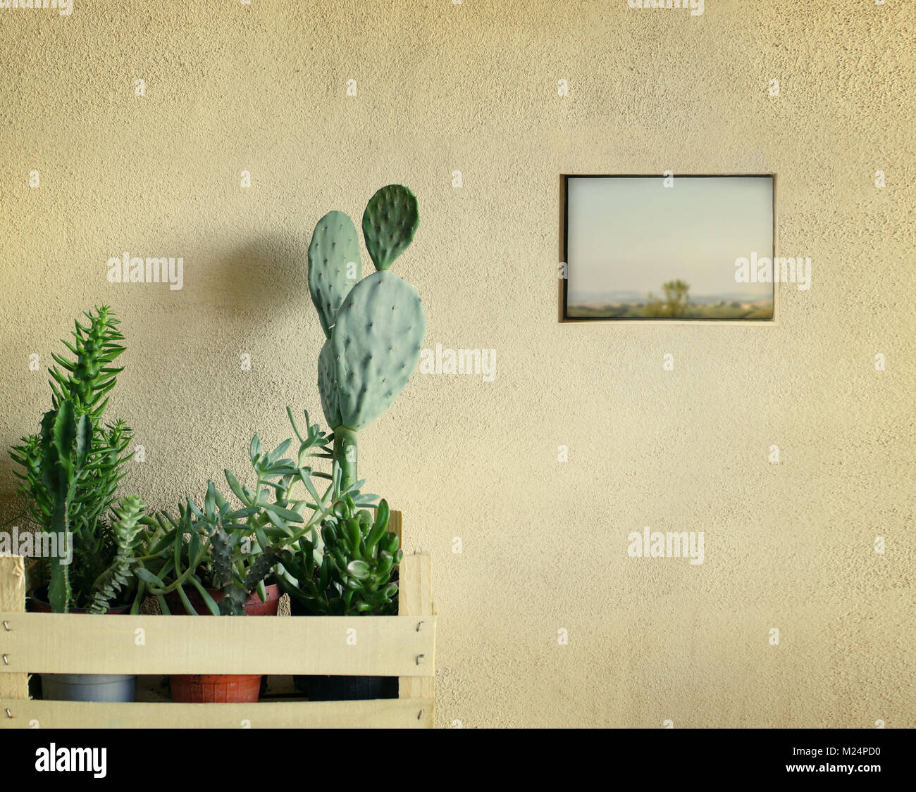 Detail of a few succulents plants in a basket with a little window on country landscape view Stock Photo
