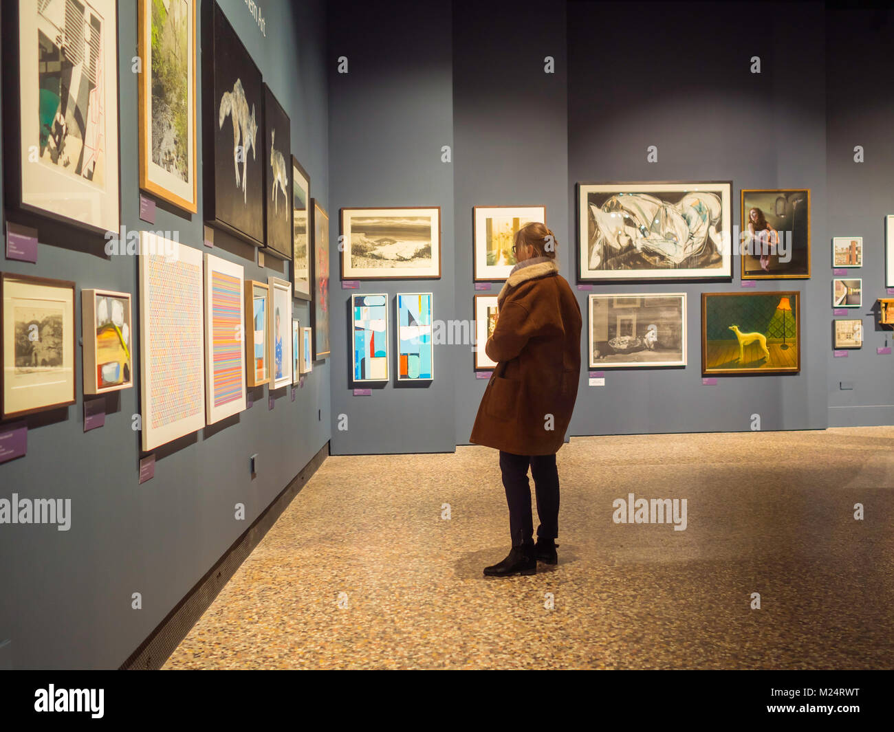 A woman viewing the New Light annual competition for artists from the North in the Art Gallery at the Bowes Museum Barnard Castle Co.Durham England Stock Photo