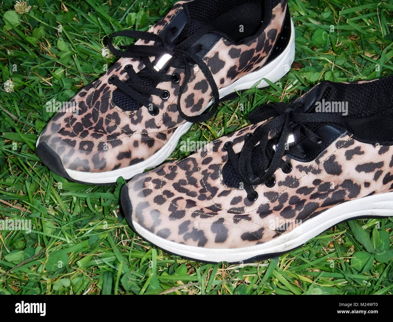 Pair of leopard print sneakers trainers runners Stock Photo