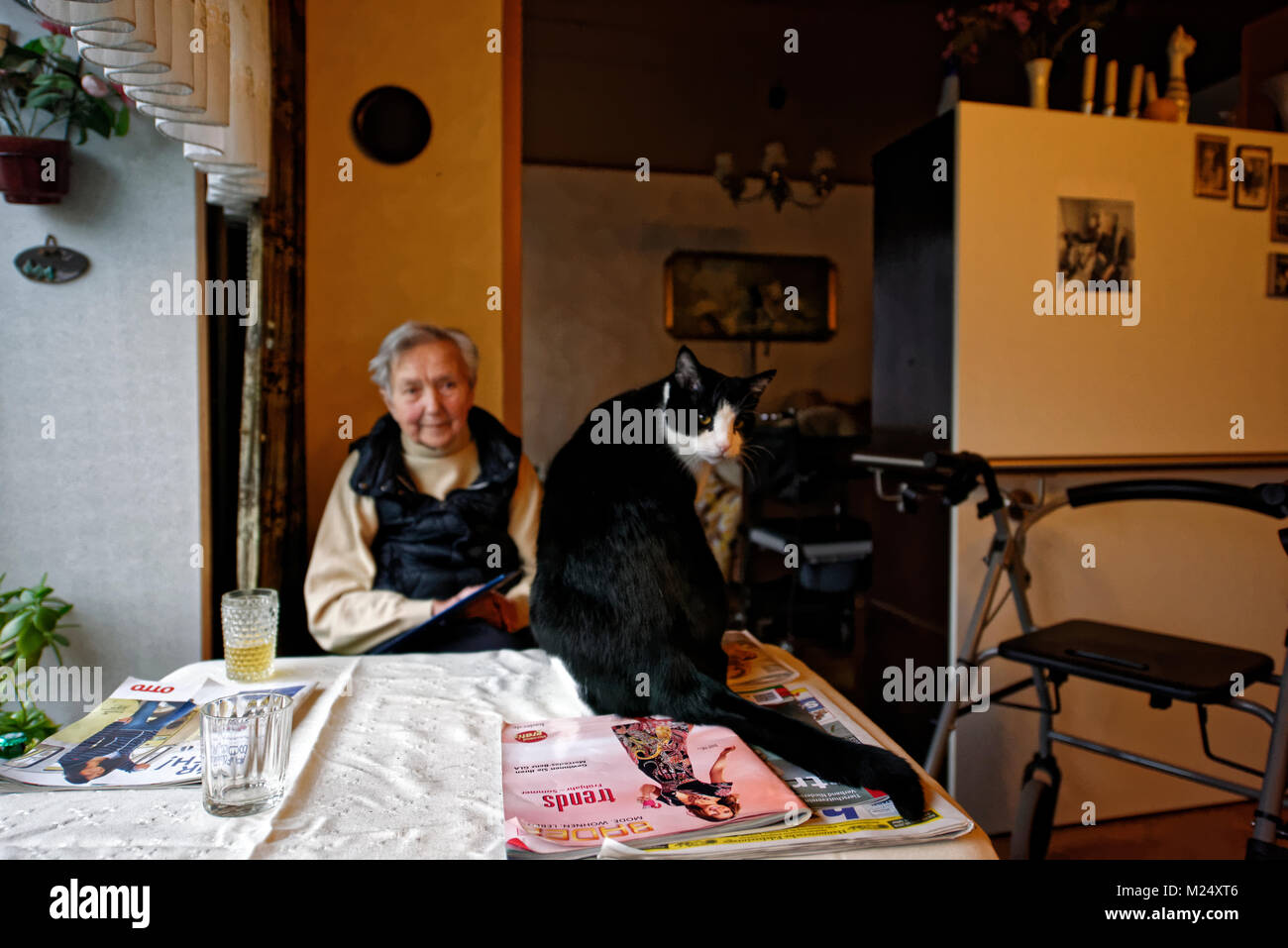 Tante Anna und Kater Georg. Stock Photo