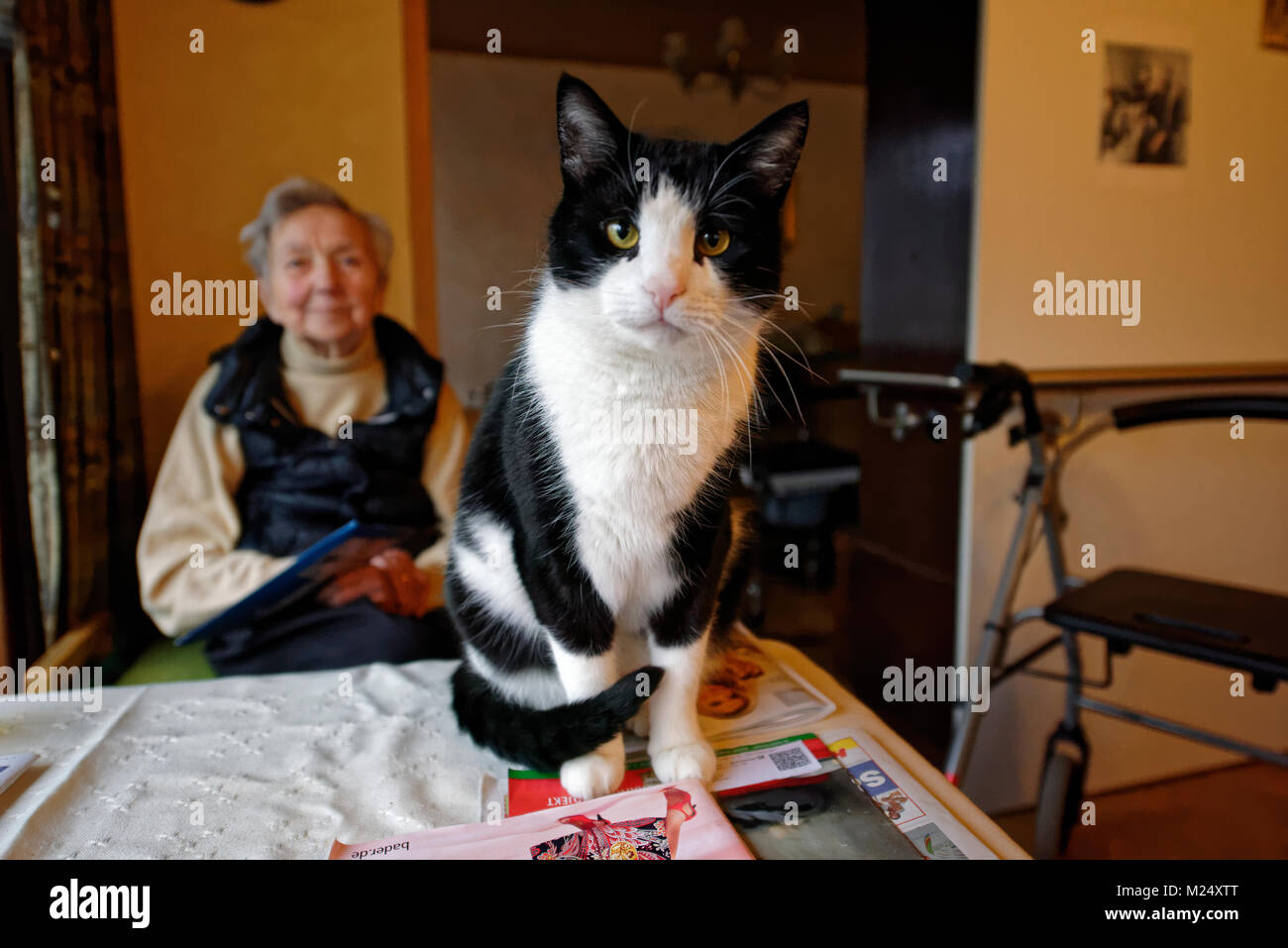 Tante Anna und Kater Georg. Stock Photo