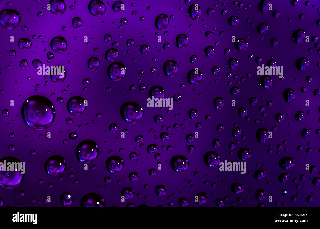 Macro shot detail reflection of dollars banknote in water drops. Purple water drops background Stock Photo