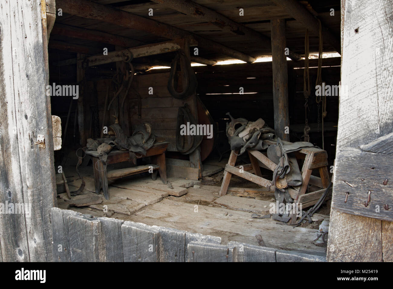 Inside an old livery stable and blacksmith shop at the Garnet Ghost Town on Bear Gulch, northwest of Drummond, Montana in Granite County. Stock Photo