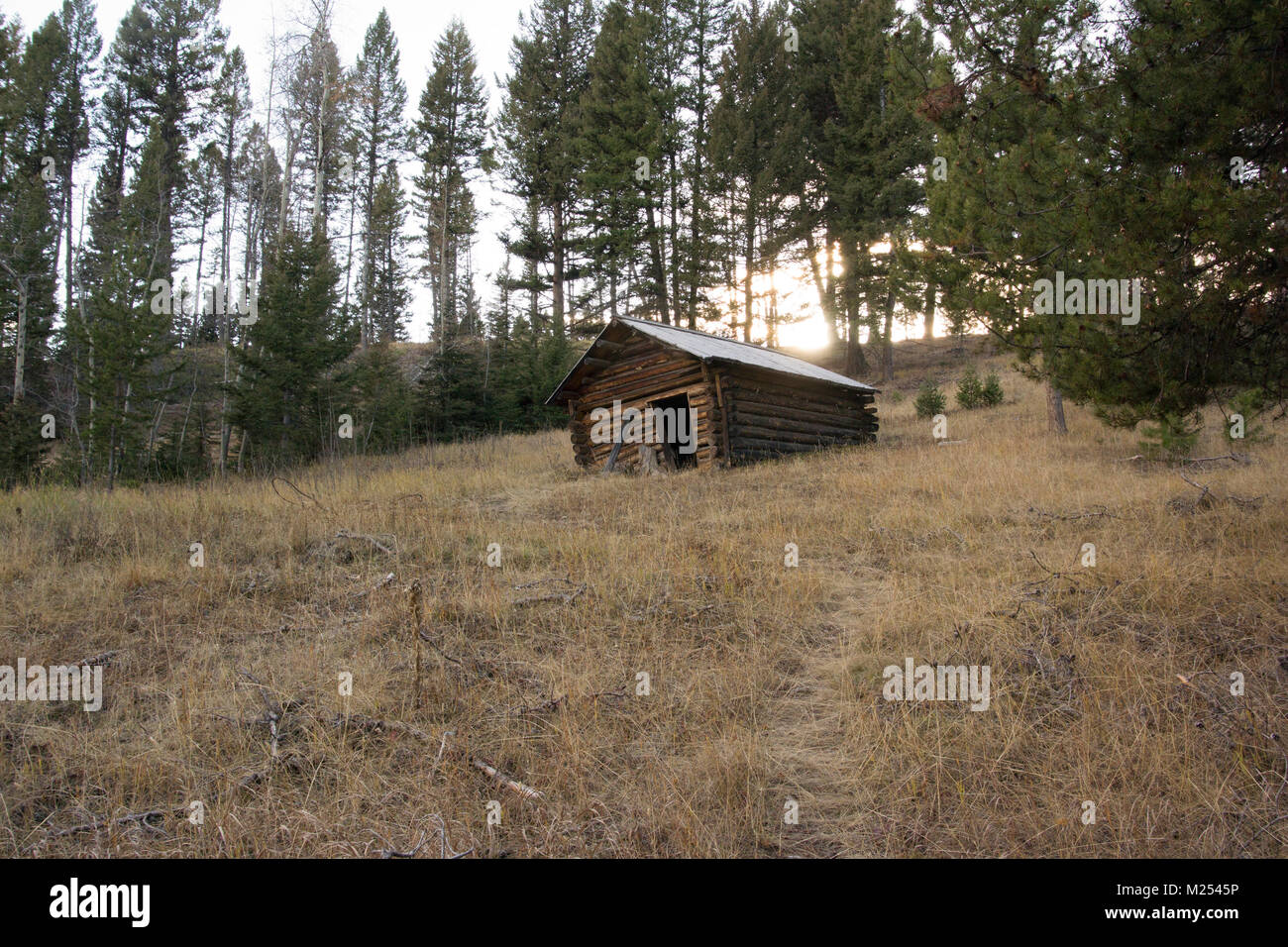 An old log cabin at the Ghost Town, on Bear Gulch, northwest of