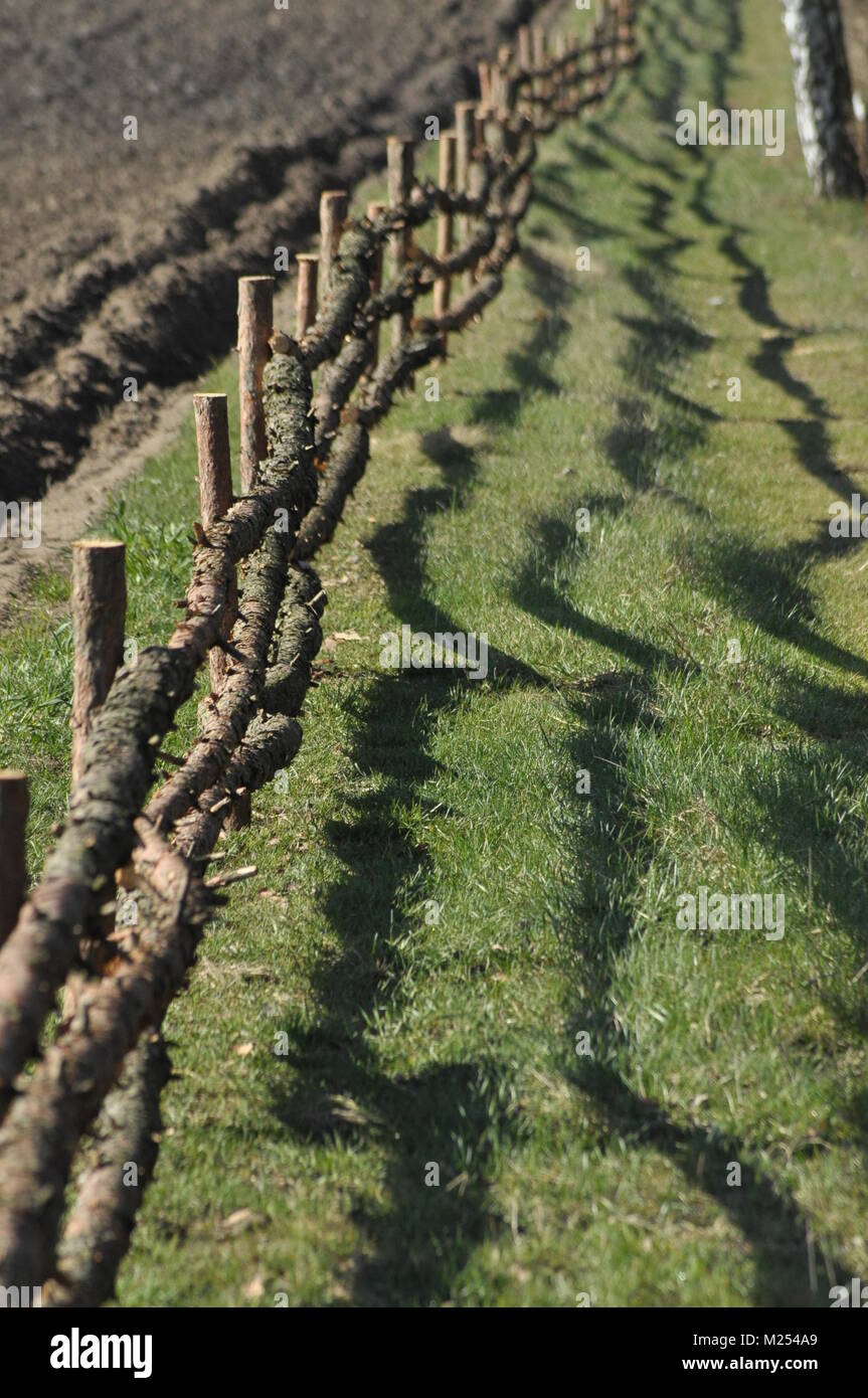The fence along the dirt road. Fence with wooden posts. A country road ...