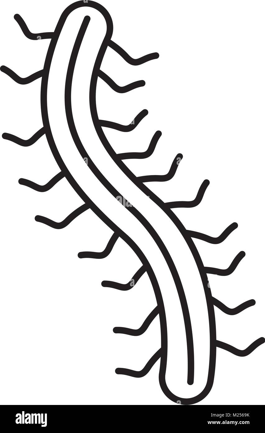 Bug icon image Black and White Stock Photos & Images - Alamy