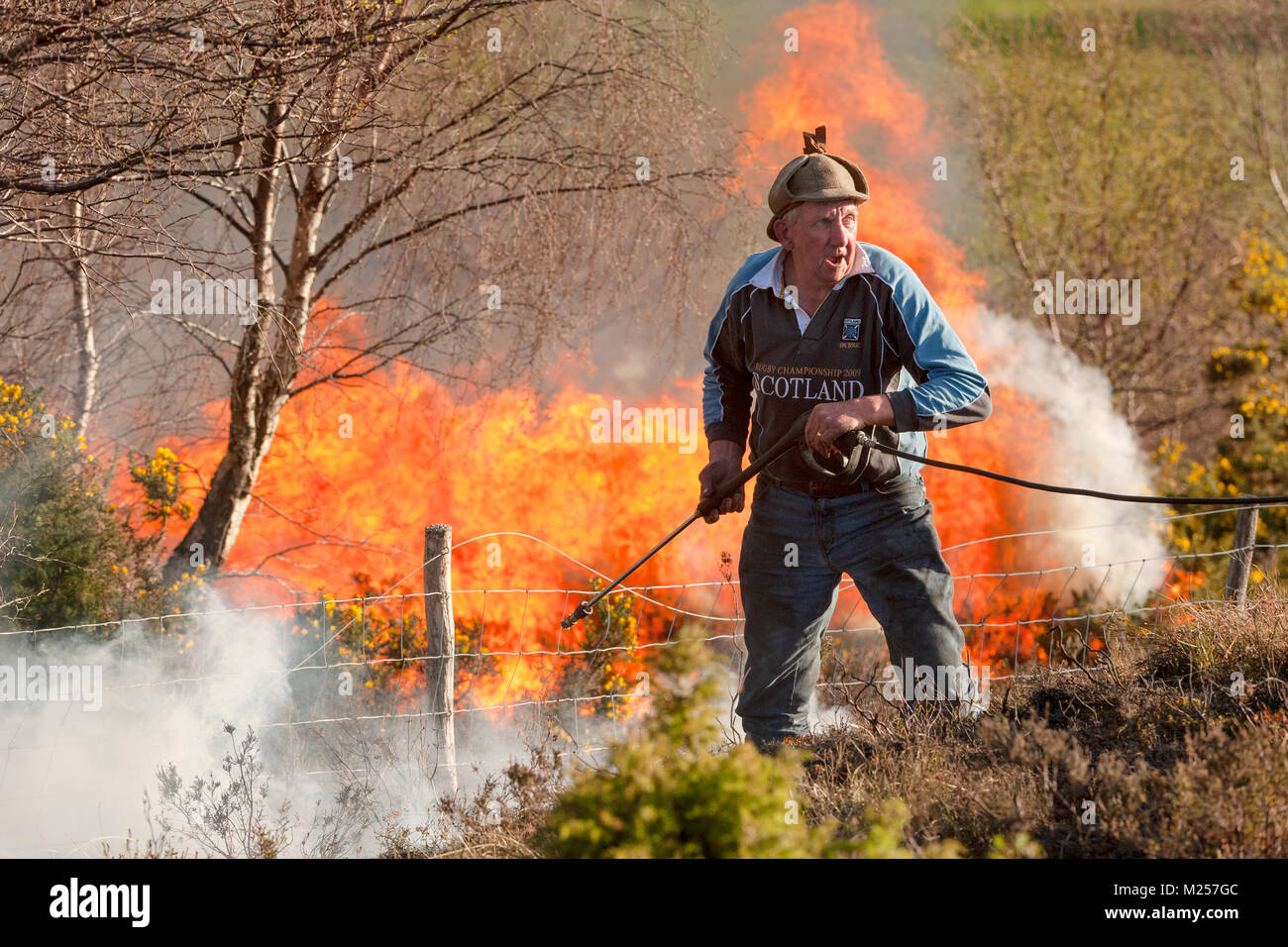Estate worker tackles a moorland fire near Aigas, Strathglass. Stock Photo