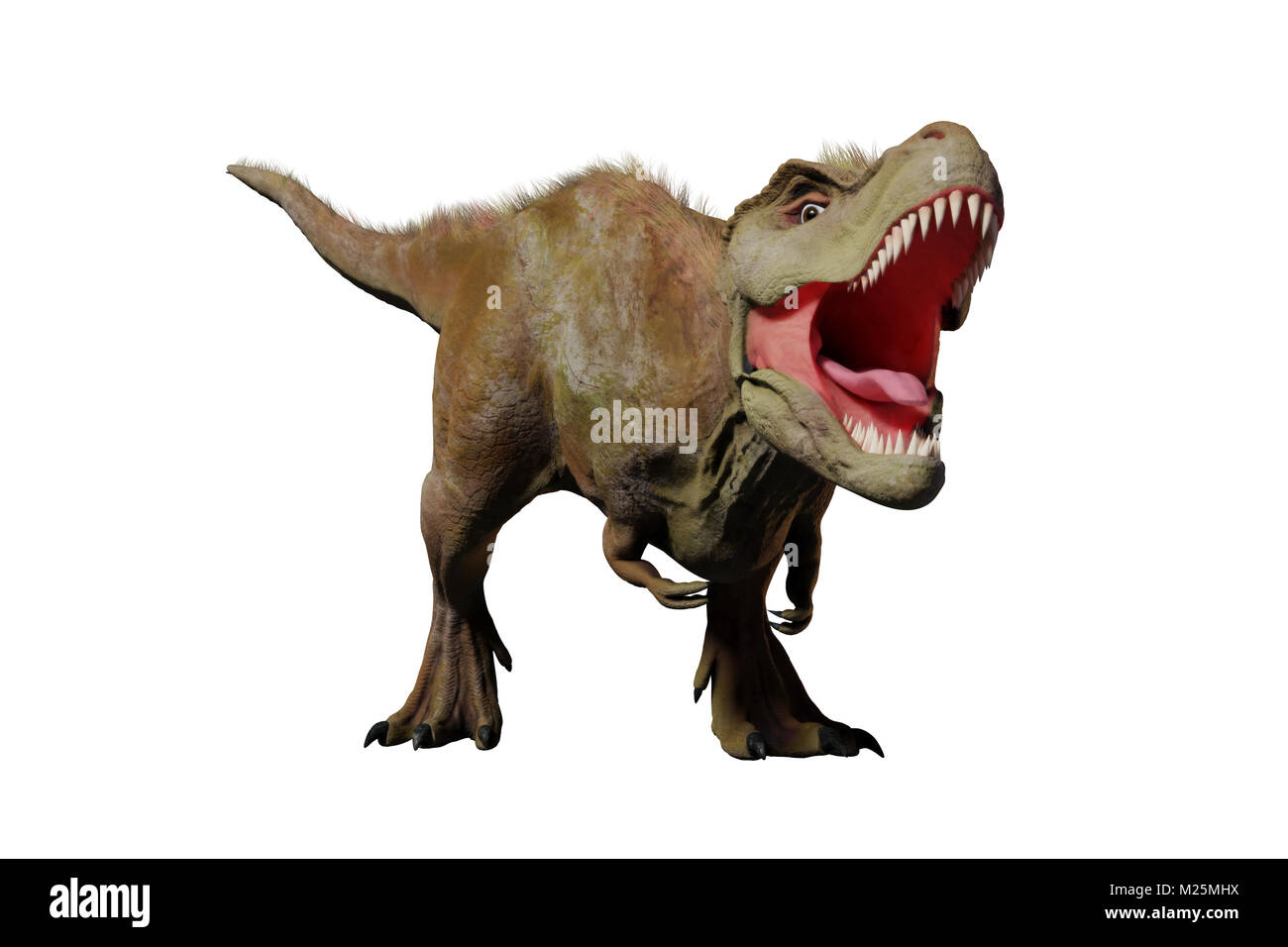 Tyrannosaurus rex roaring,  T-rex dinosaur (3d illustration isolated on white background) Stock Photo