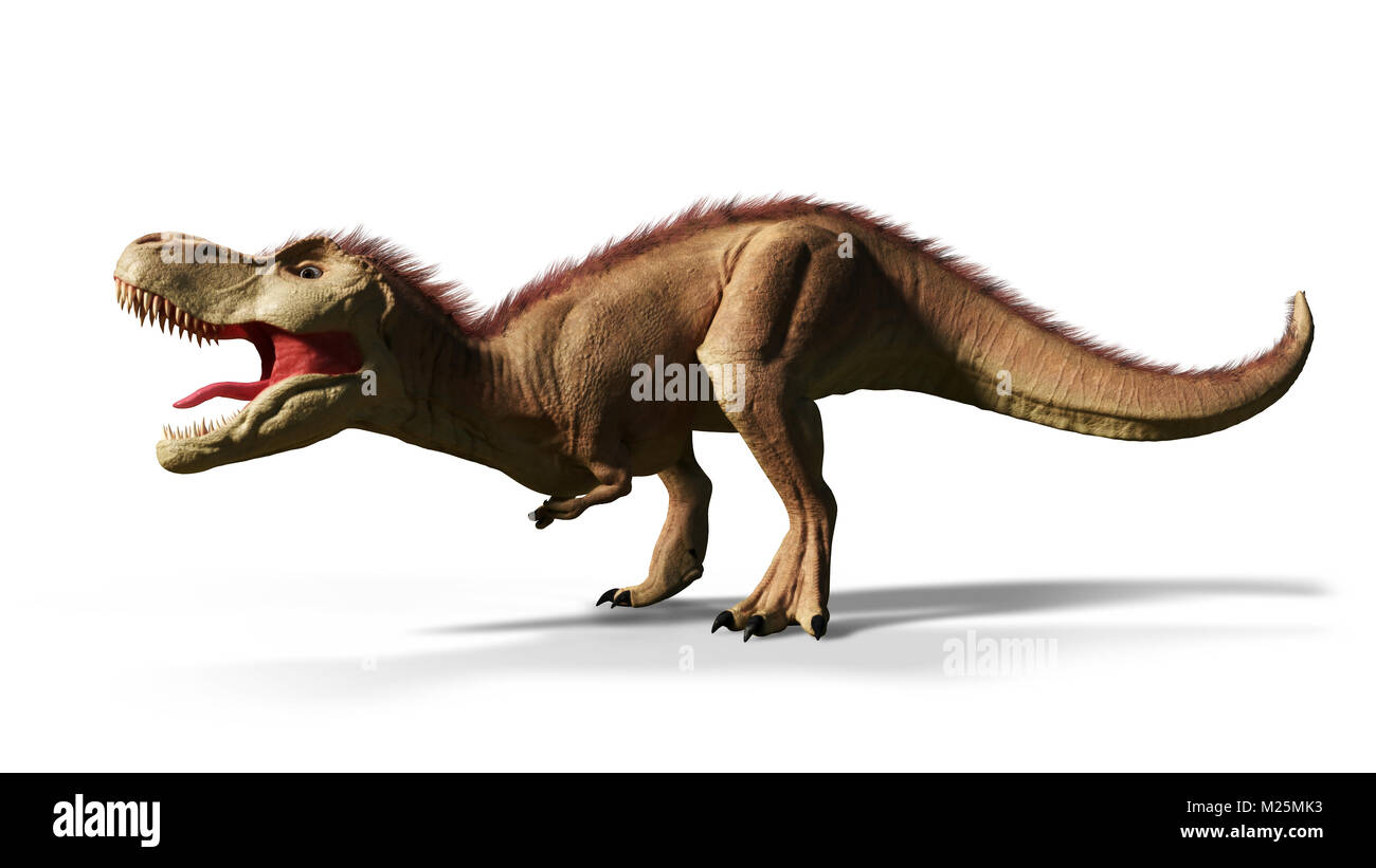 Tyrannosaurus rex, T-rex dinosaur from the Jurassic period (3d render isolated with shadow on white background) Stock Photo