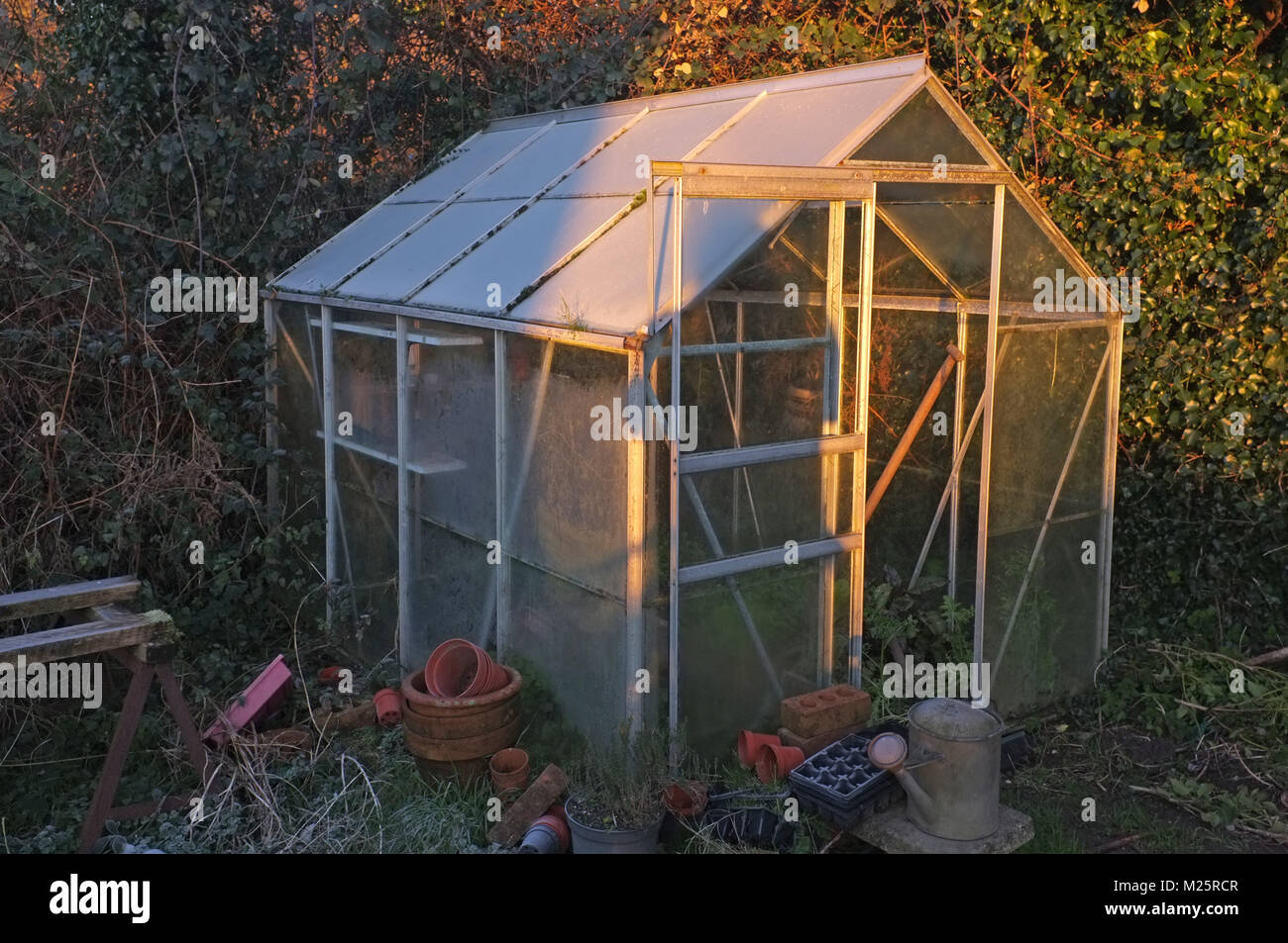 A frosted greenhouse in the early morning light Stock Photo Alamy