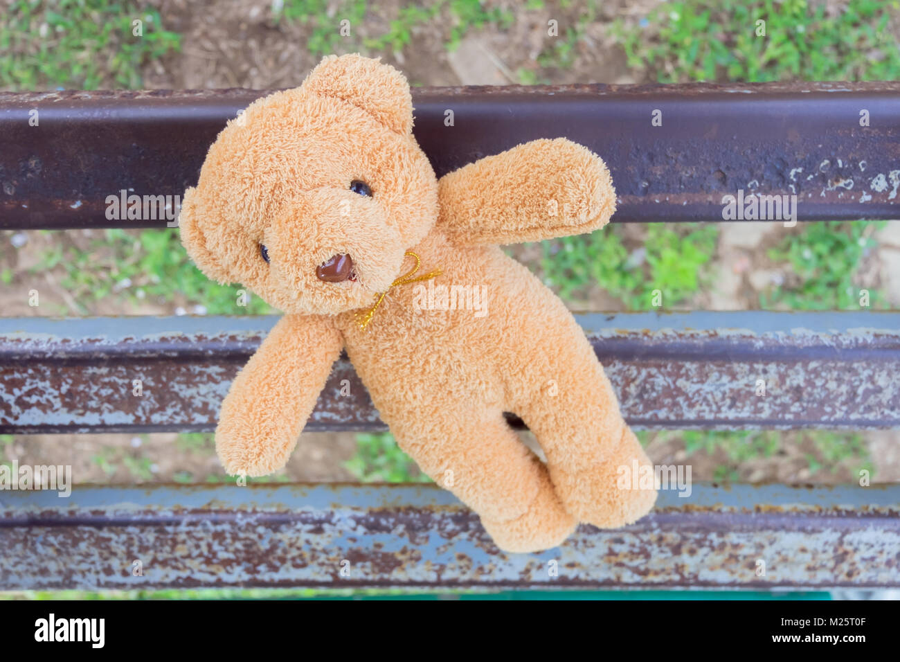 bear toy on iron bench ,top view Stock Photo - Alamy