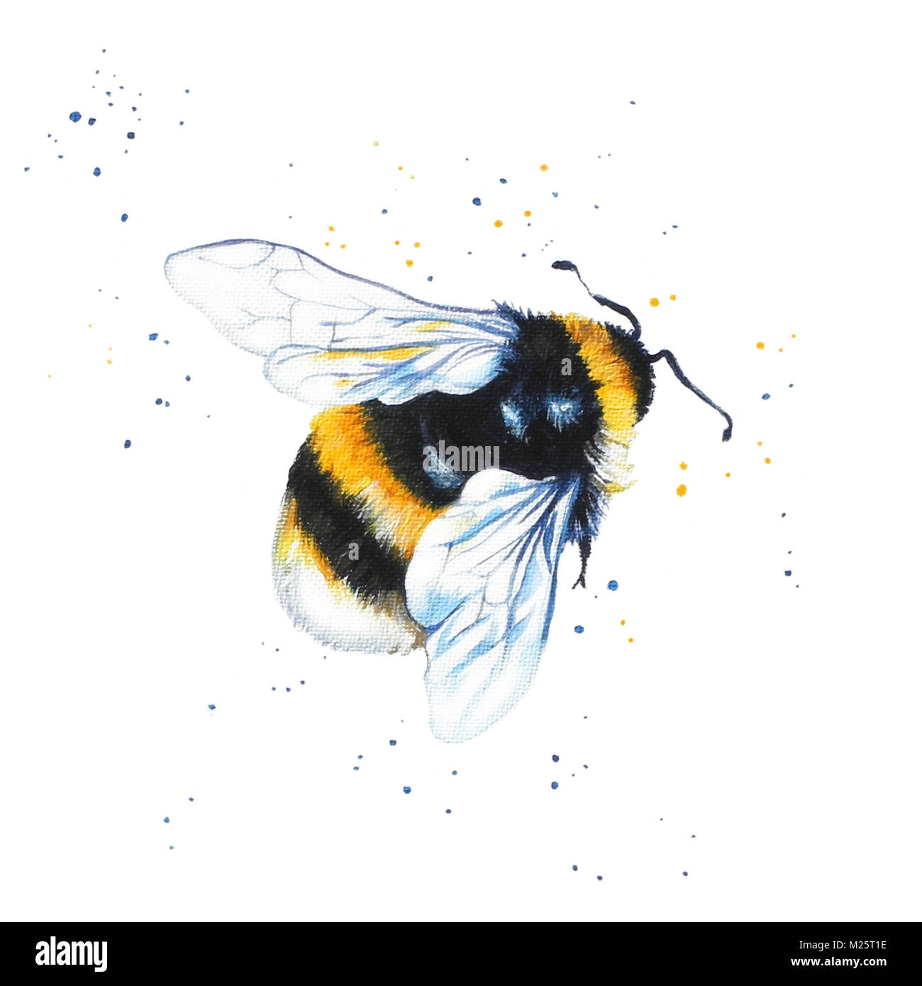 Painting of Bumble Bee Stock Photo - Alamy