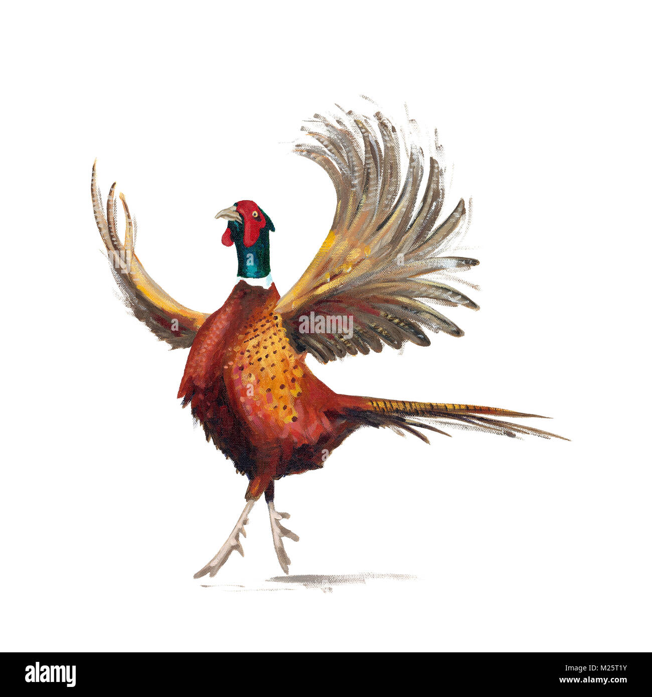 Painting pf a dancing pheasant Stock Photo