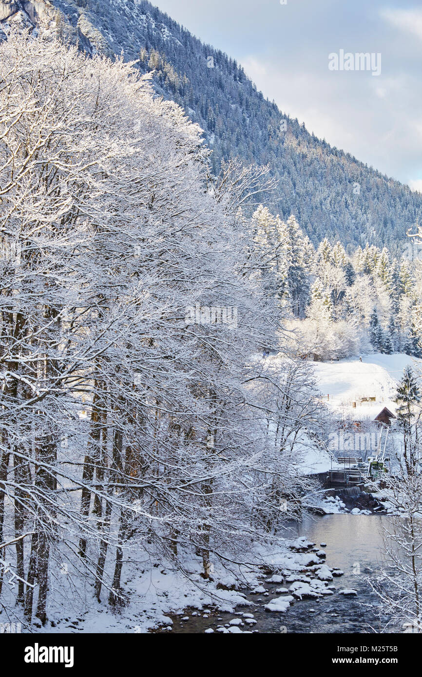 Spaziergang Wald High Resolution Stock Photography and Images - Alamy