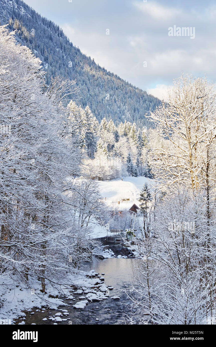 Wald spaziergang hi-res stock photography and images - Alamy