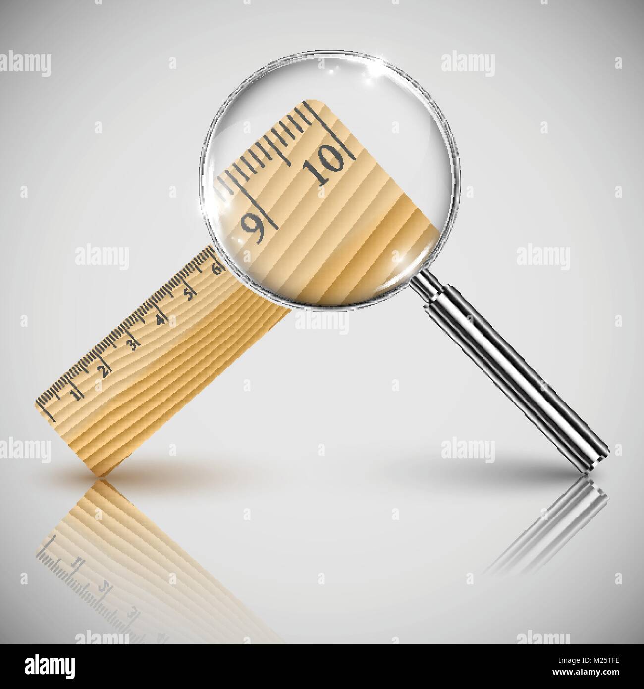 Vector illustration of wood ruler and a magnifier Stock Vector Image ...