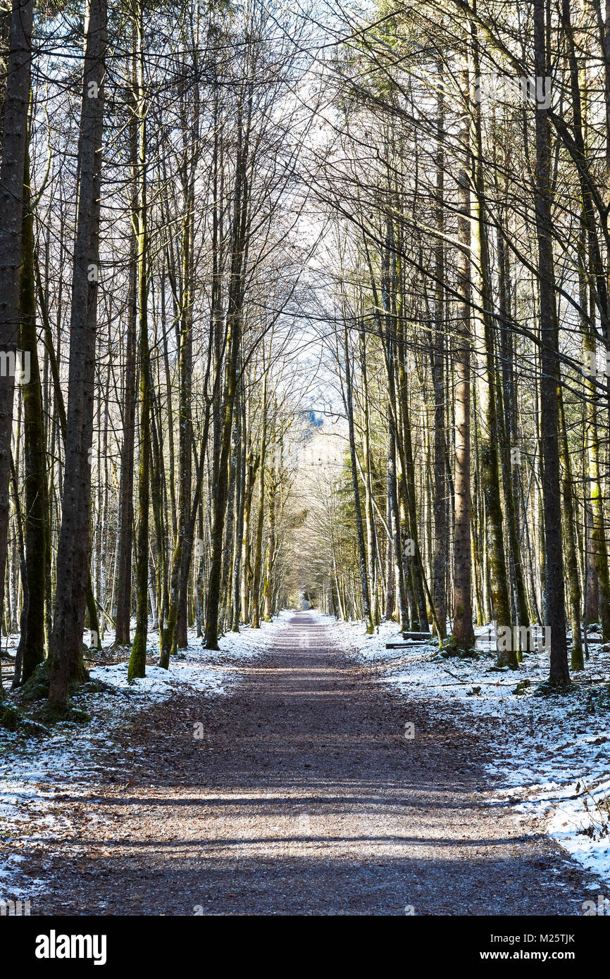 Spaziergang winter wald hi-res stock photography and images - Alamy