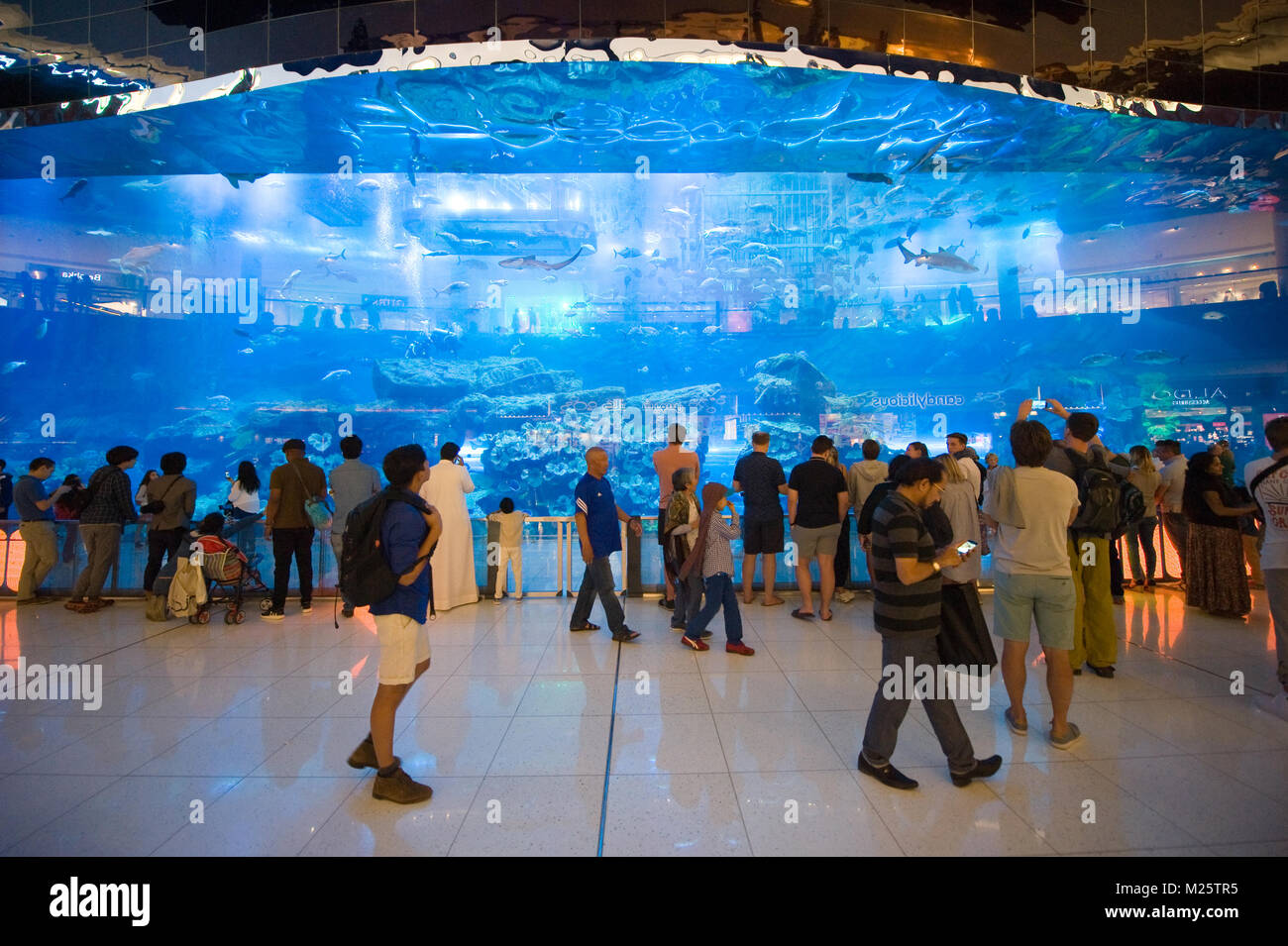 DUBAI, UNITED ARAB EMIRATES - JAN 02, 2018: Tourists are watching at a big aquarium inside the shopping mall in the center of the city near the Burj K Stock Photo