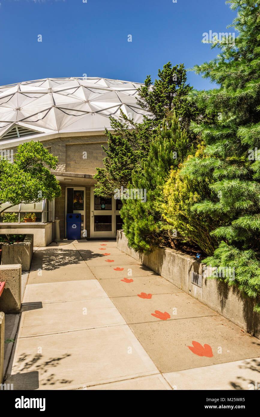 Dinosaur State Park Rocky Hill, Connecticut, USA Stock Photo Alamy
