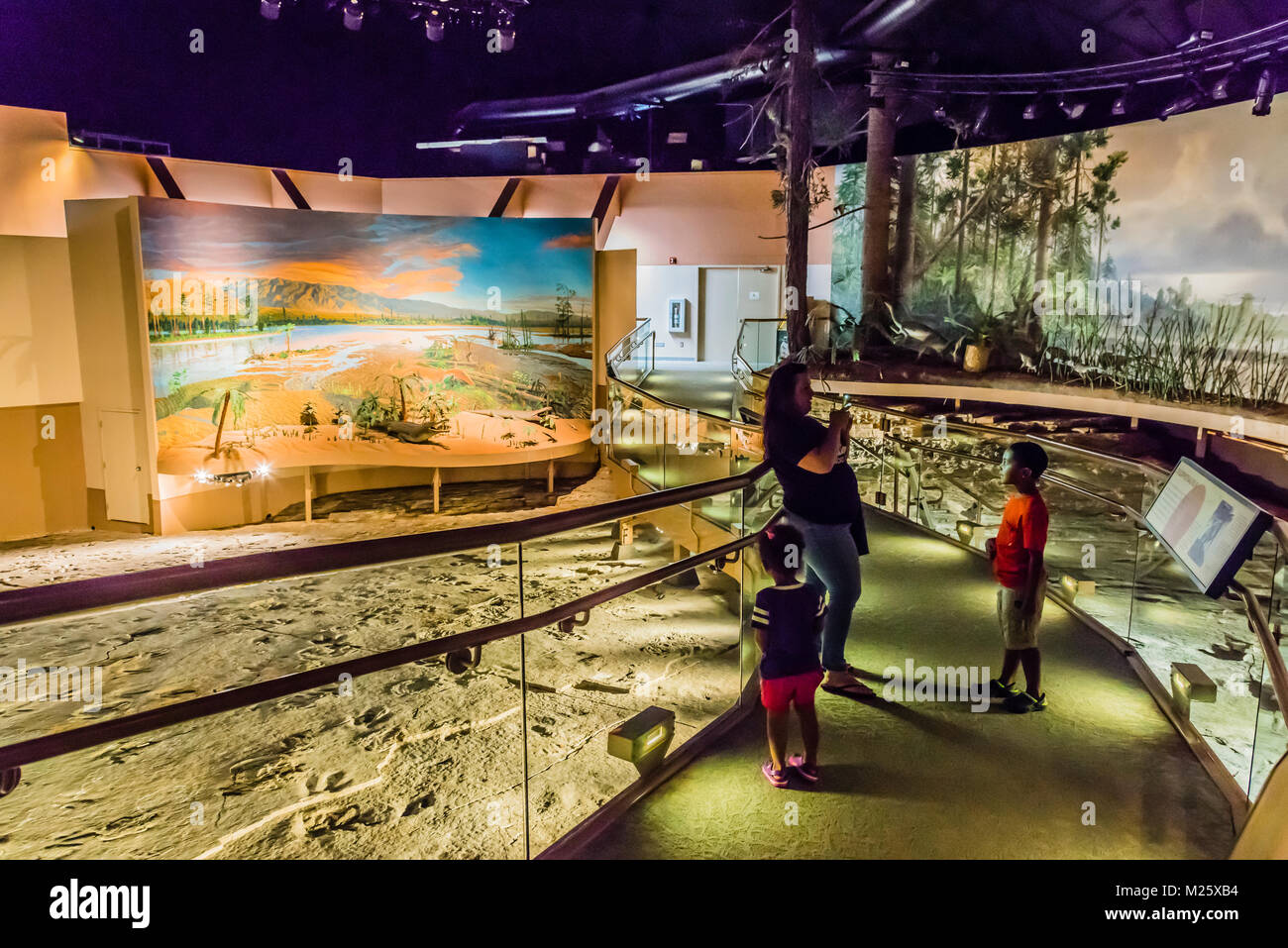 Dinosaur State Park Rocky Hill, Connecticut, USA Stock Photo Alamy