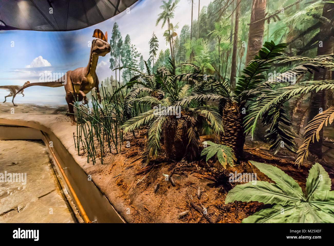 Dinosaur State Park Rocky Hill, Connecticut, USA Stock Photo Alamy