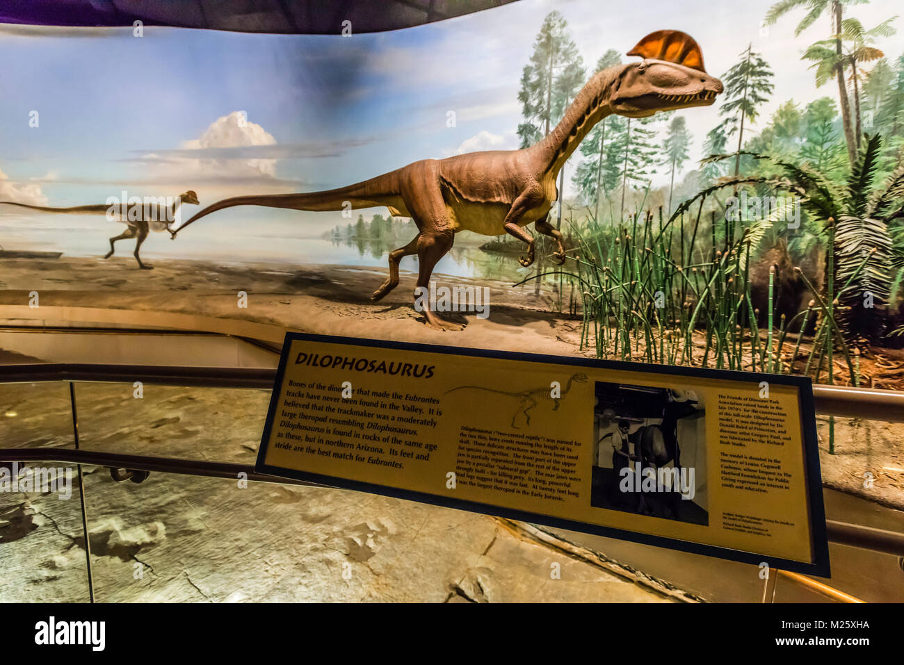 Dinosaur State Park Rocky Hill, Connecticut, USA Stock Photo Alamy