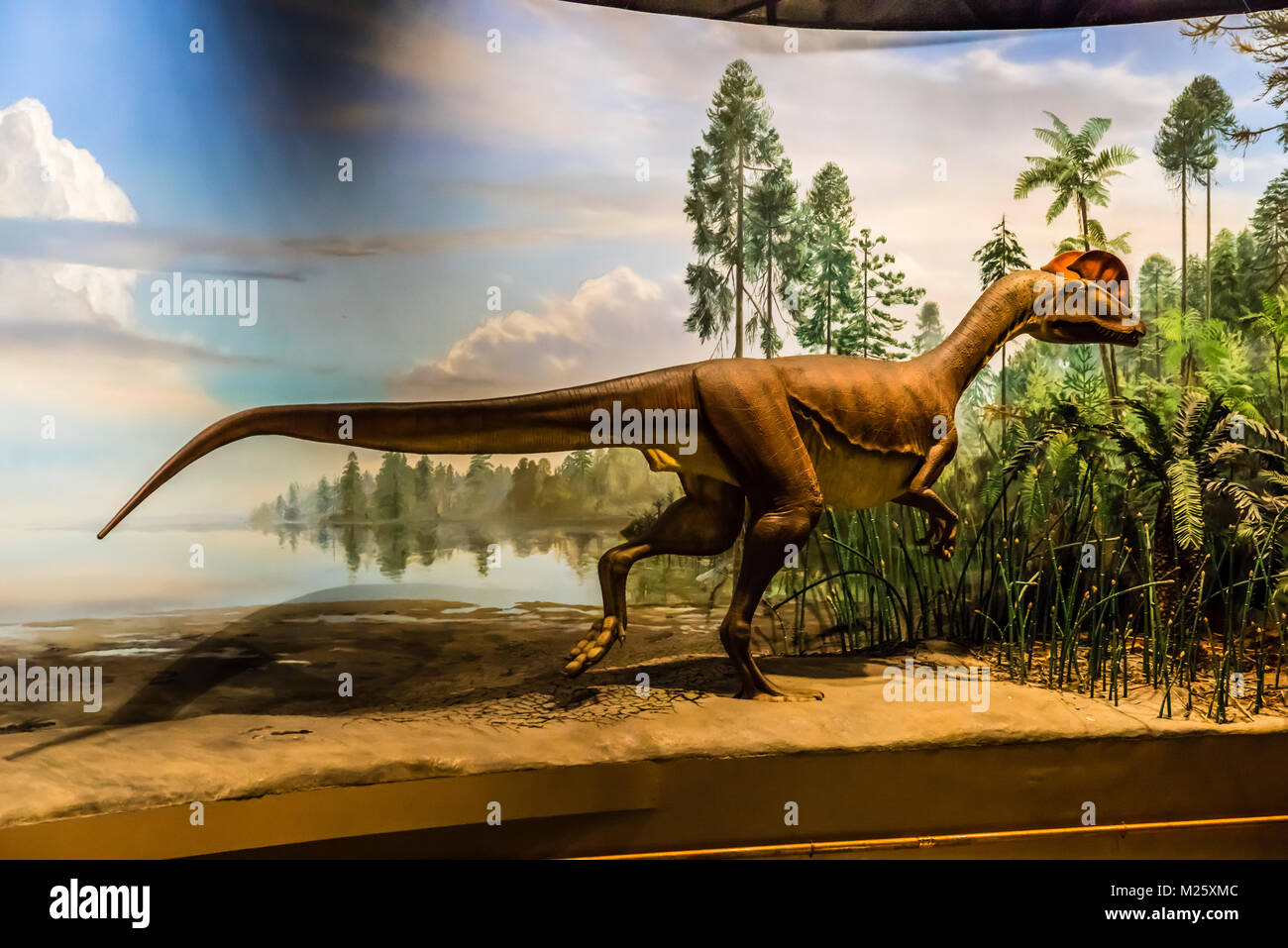 Dinosaur State Park Rocky Hill, Connecticut, USA Stock Photo Alamy